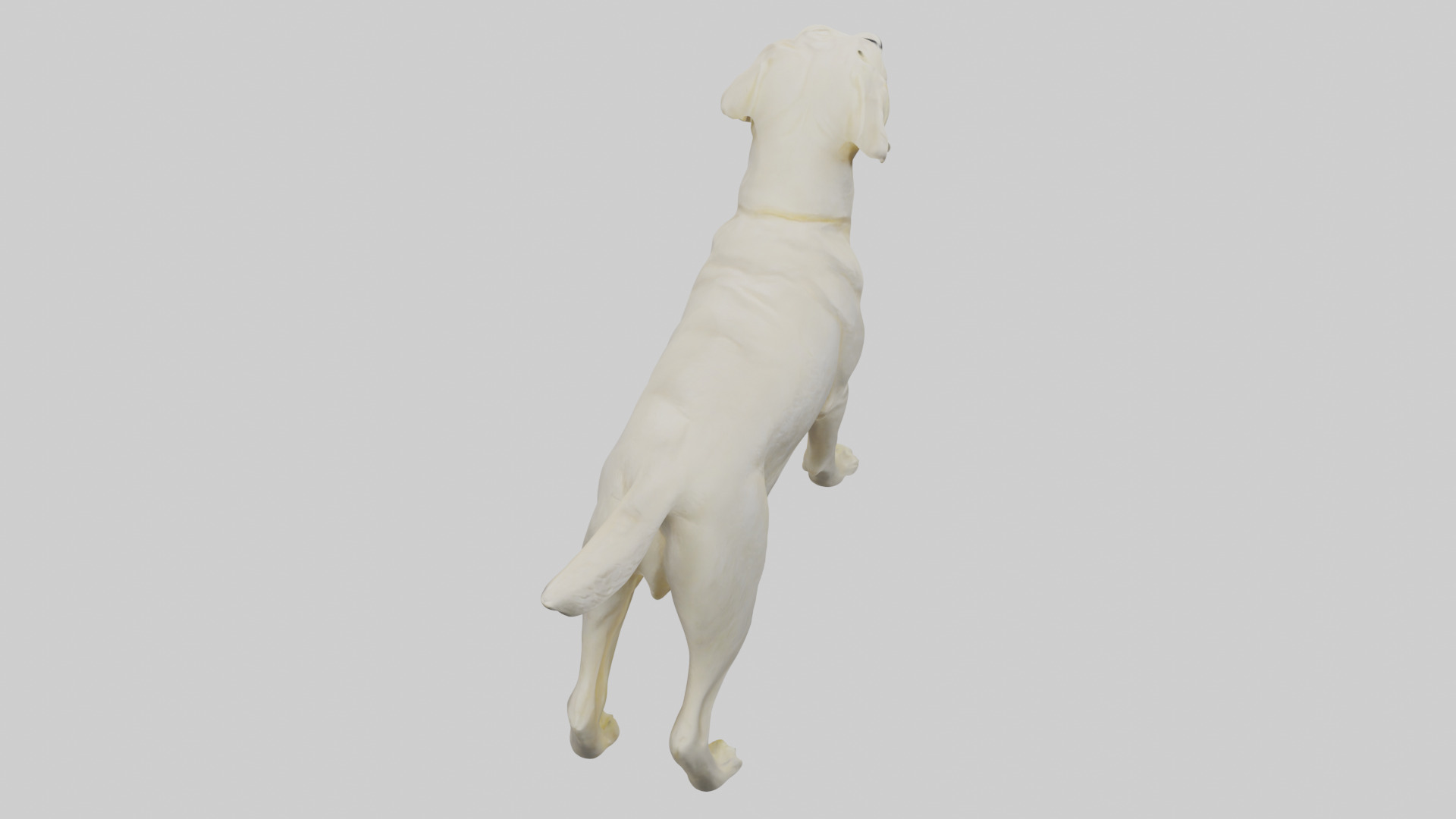 Labrador Retriever statue model Low-poly 3D model_15