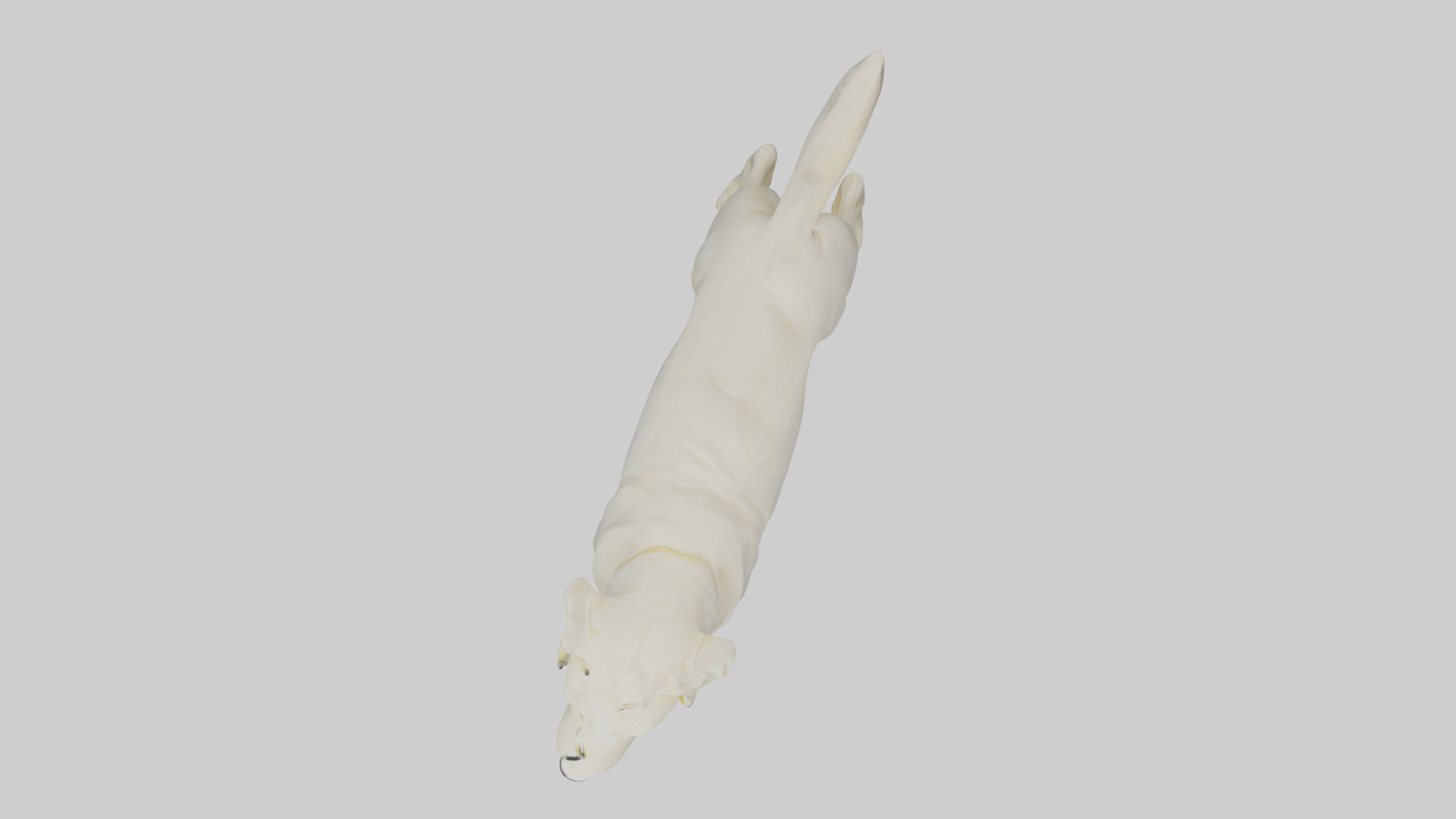 Labrador Retriever statue model Low-poly 3D model_14