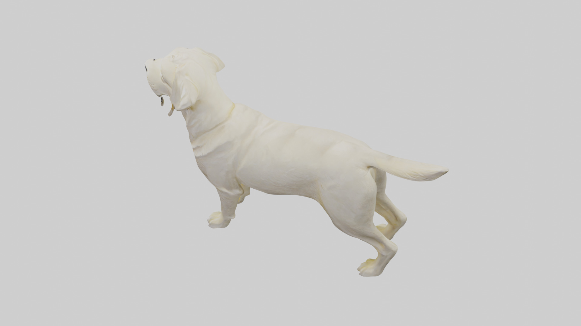 Labrador Retriever statue model Low-poly 3D model_17