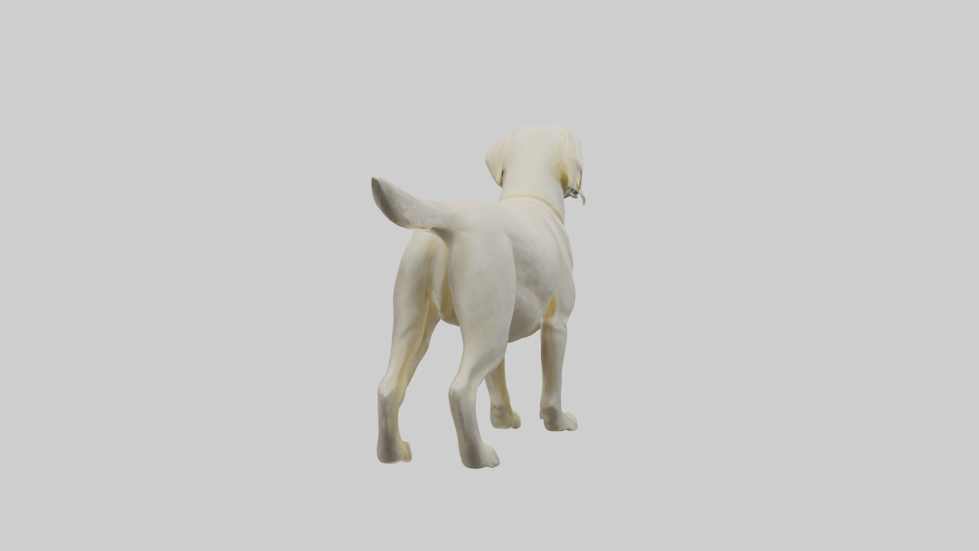 Labrador Retriever statue model Low-poly 3D model_2