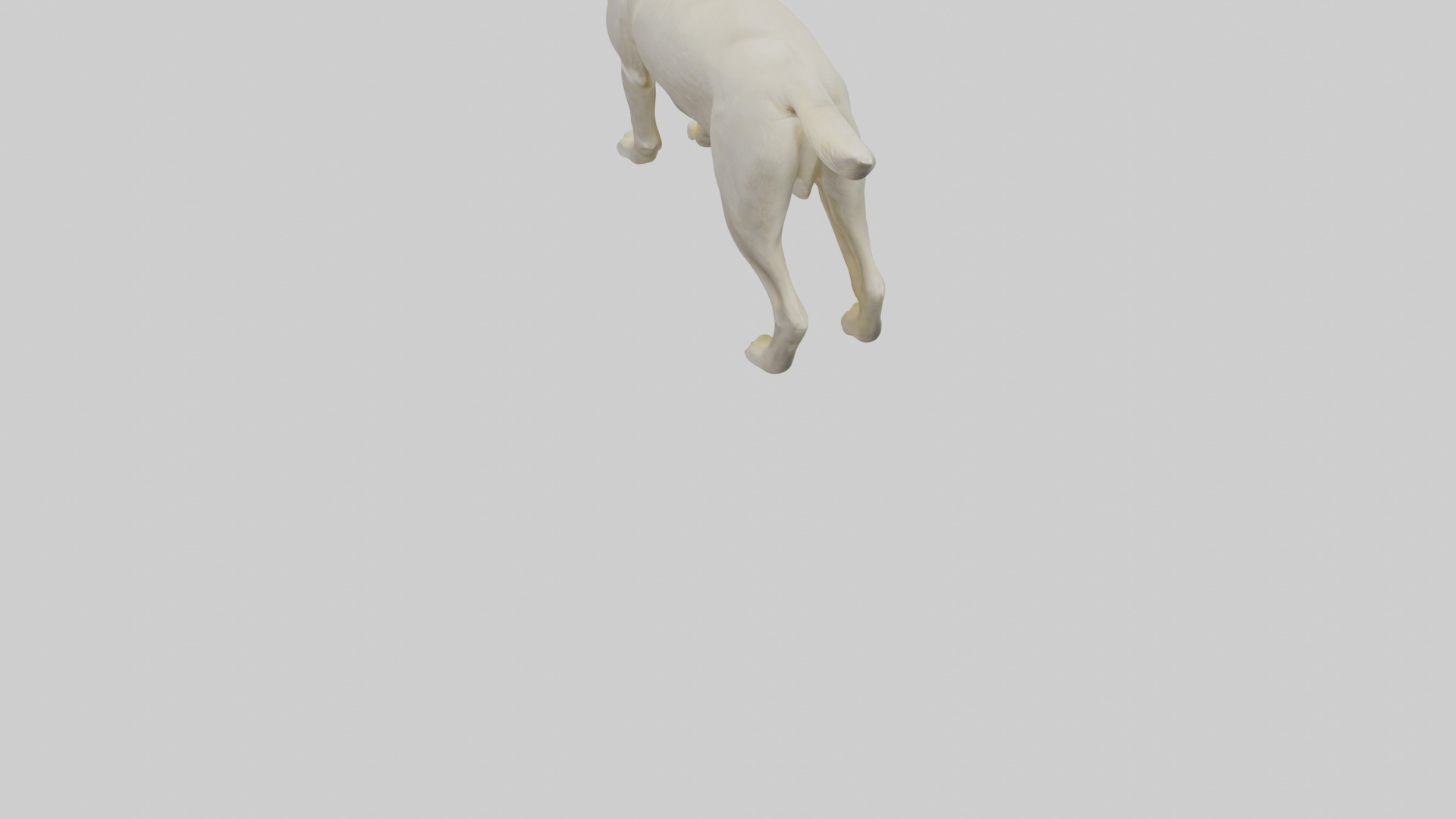 Labrador Retriever statue model Low-poly 3D model_5