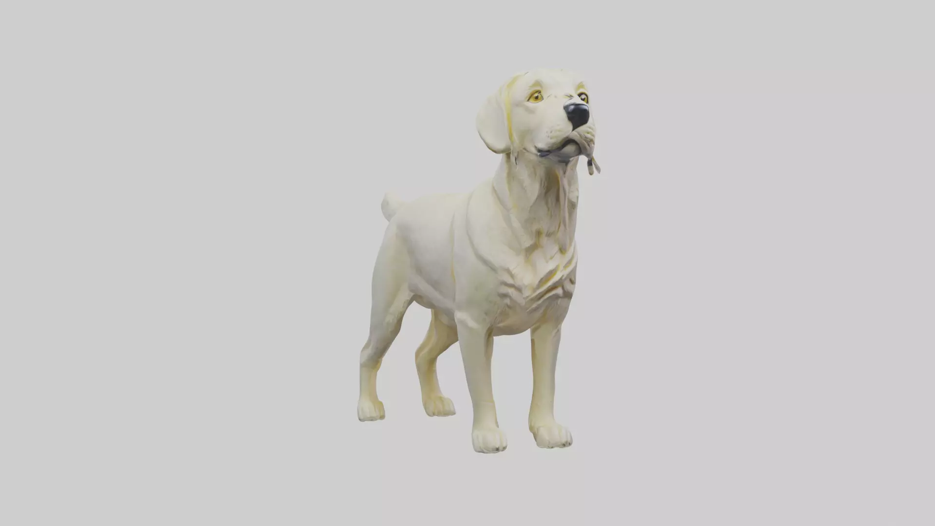 Labrador Retriever statue model Low-poly 3D model_0