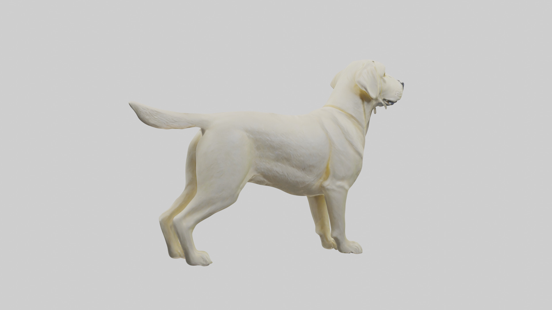 Labrador Retriever statue model Low-poly 3D model_4