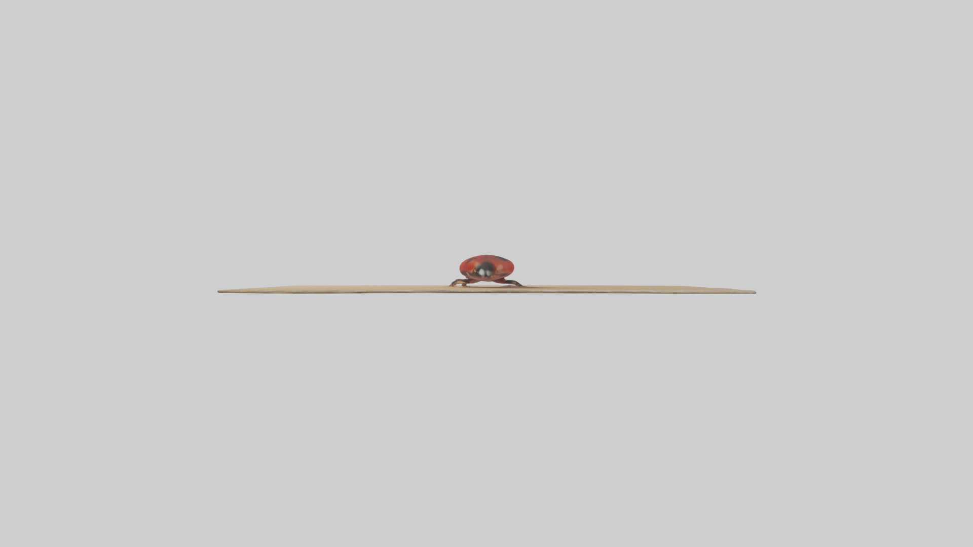 Ladybug sitting model Low-poly 3D model_1