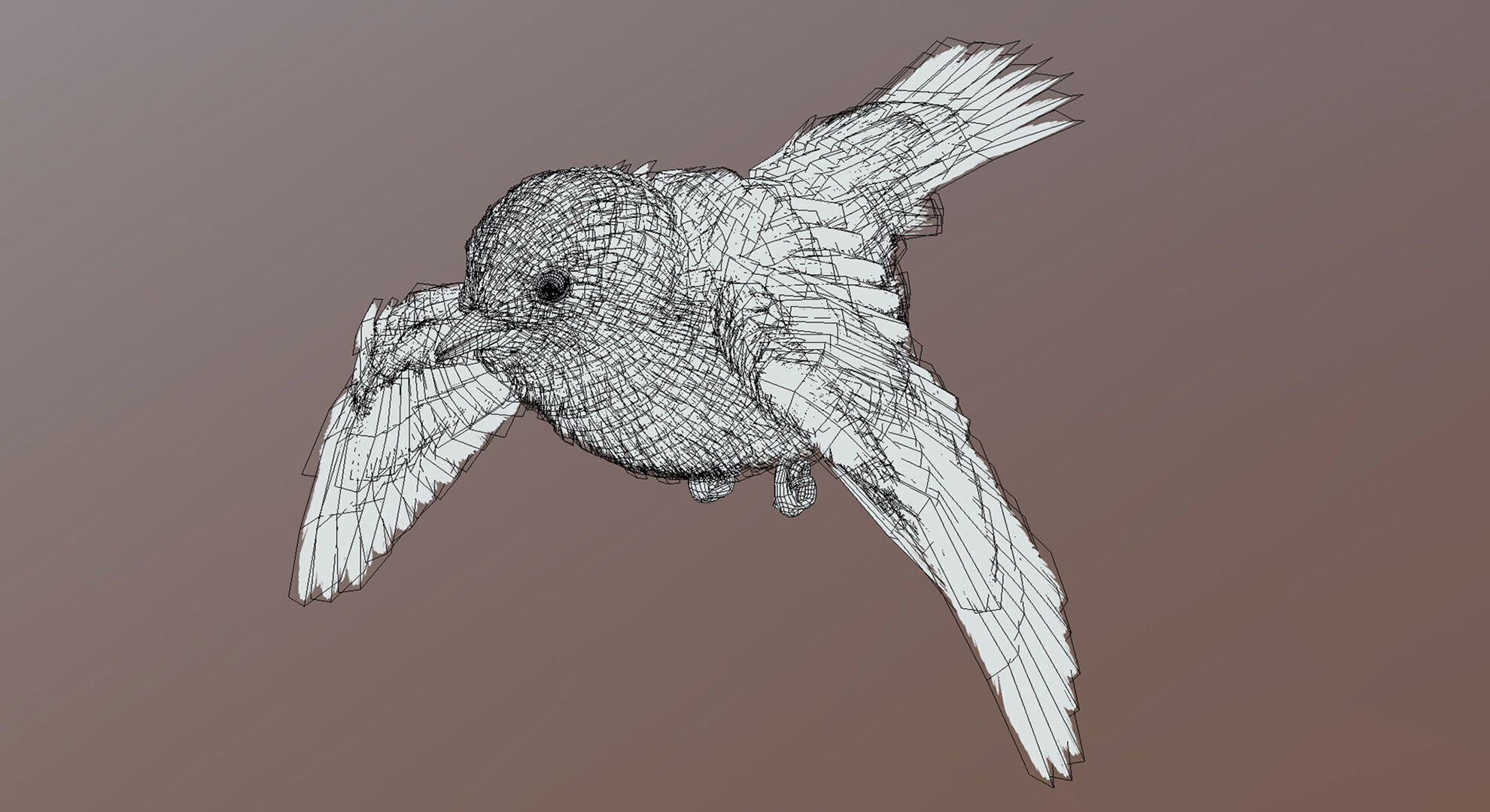 Great Tit 3D model_7