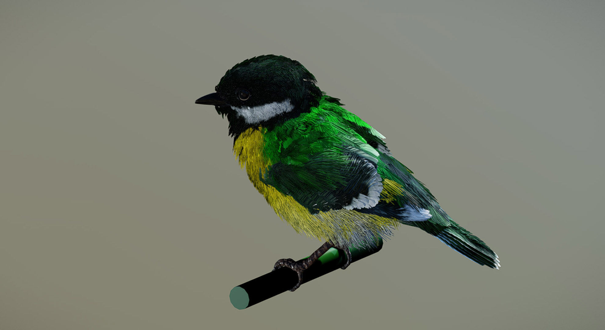 Great Tit 3D model_1