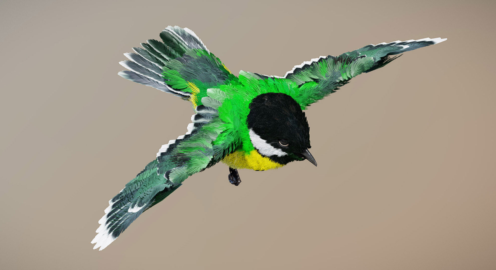 Great Tit 3D model_3