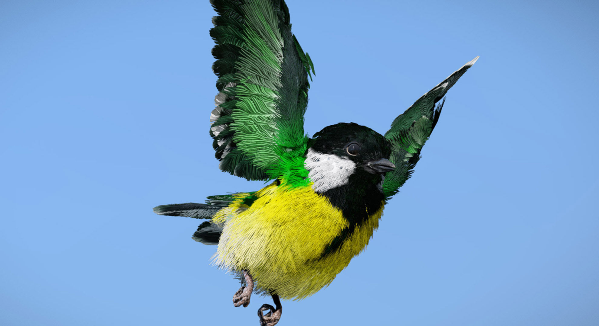 Great Tit 3D model_4