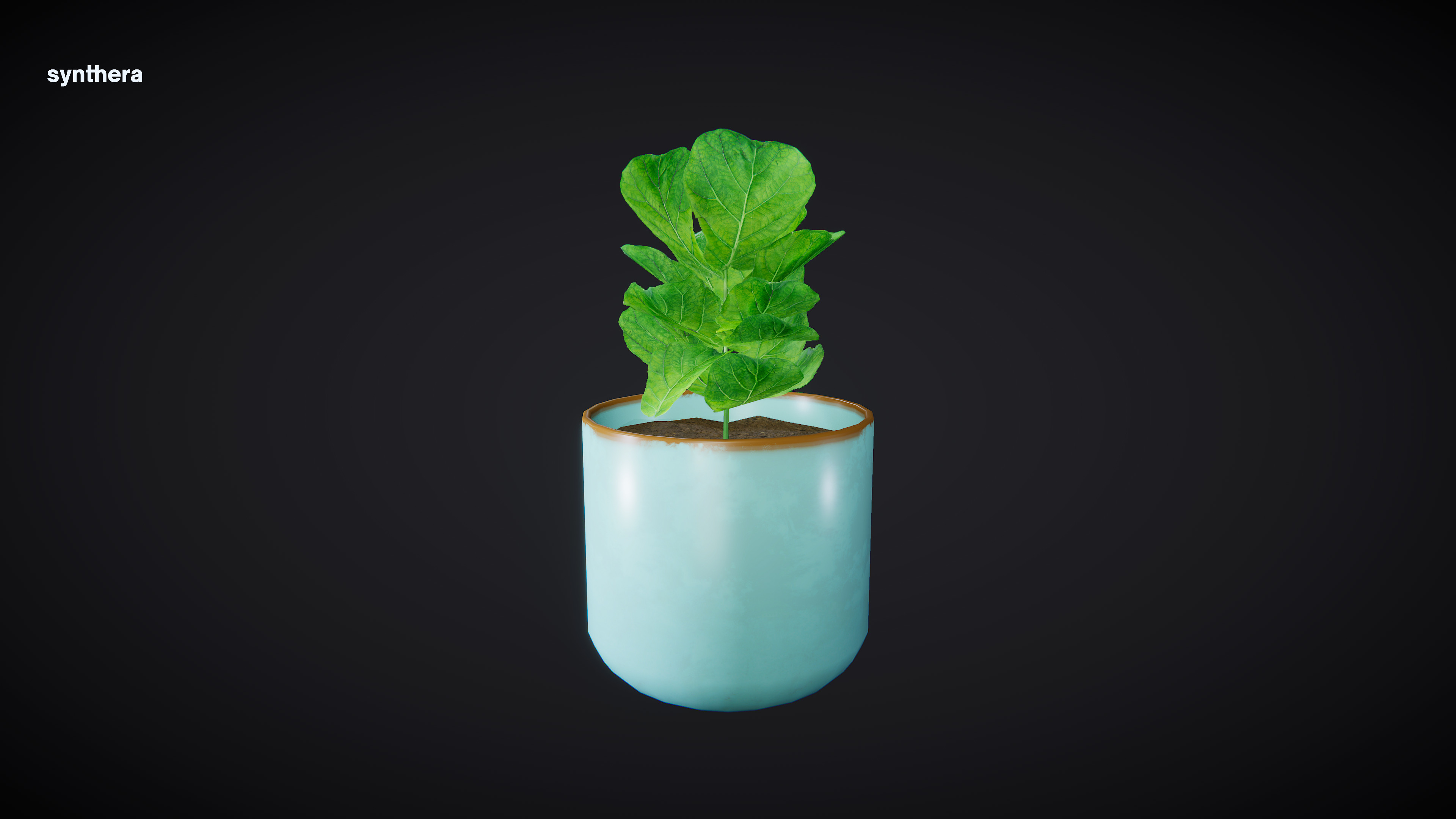 Plant Ficus 3D model_2
