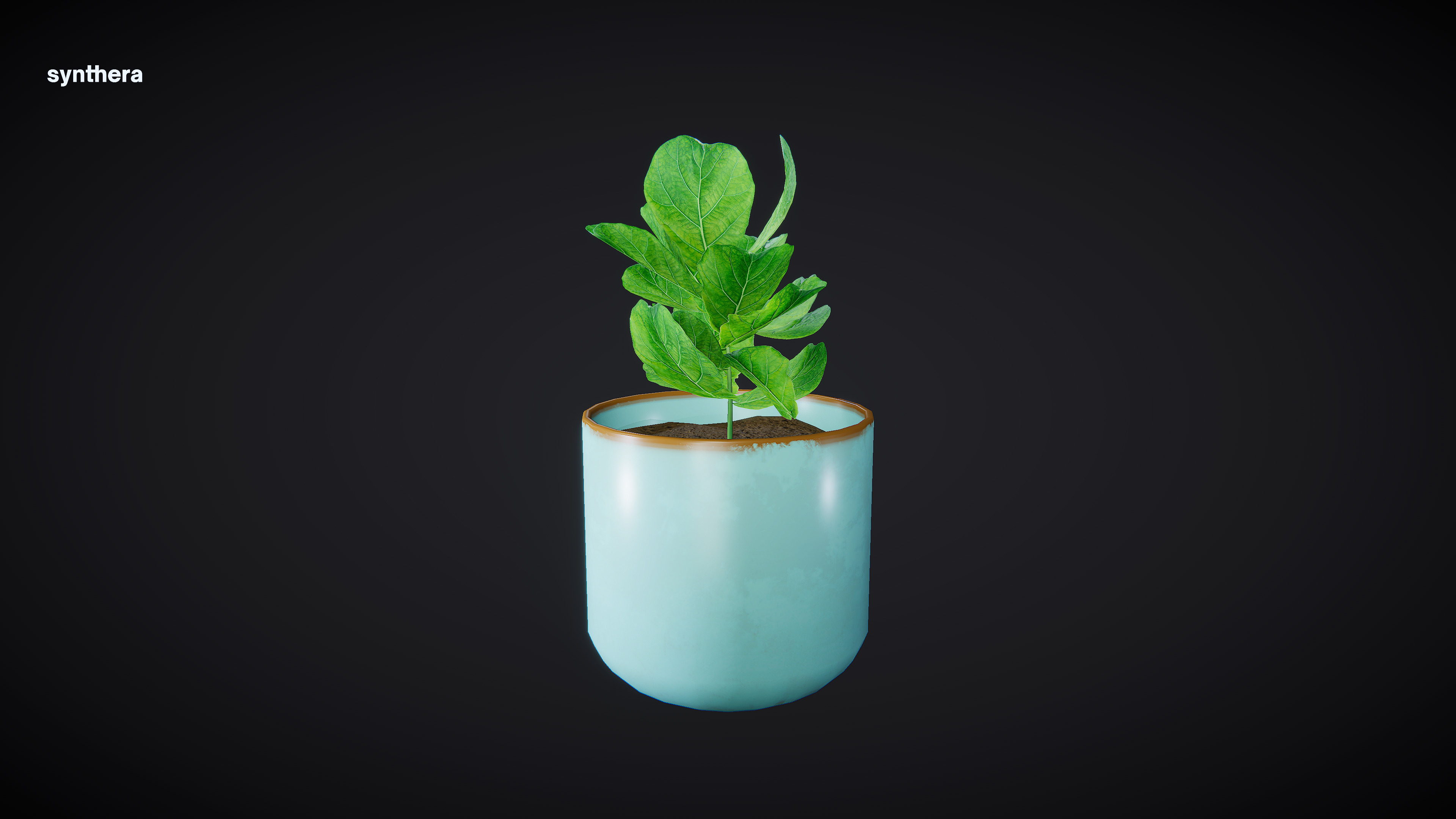Plant Ficus 3D model_3