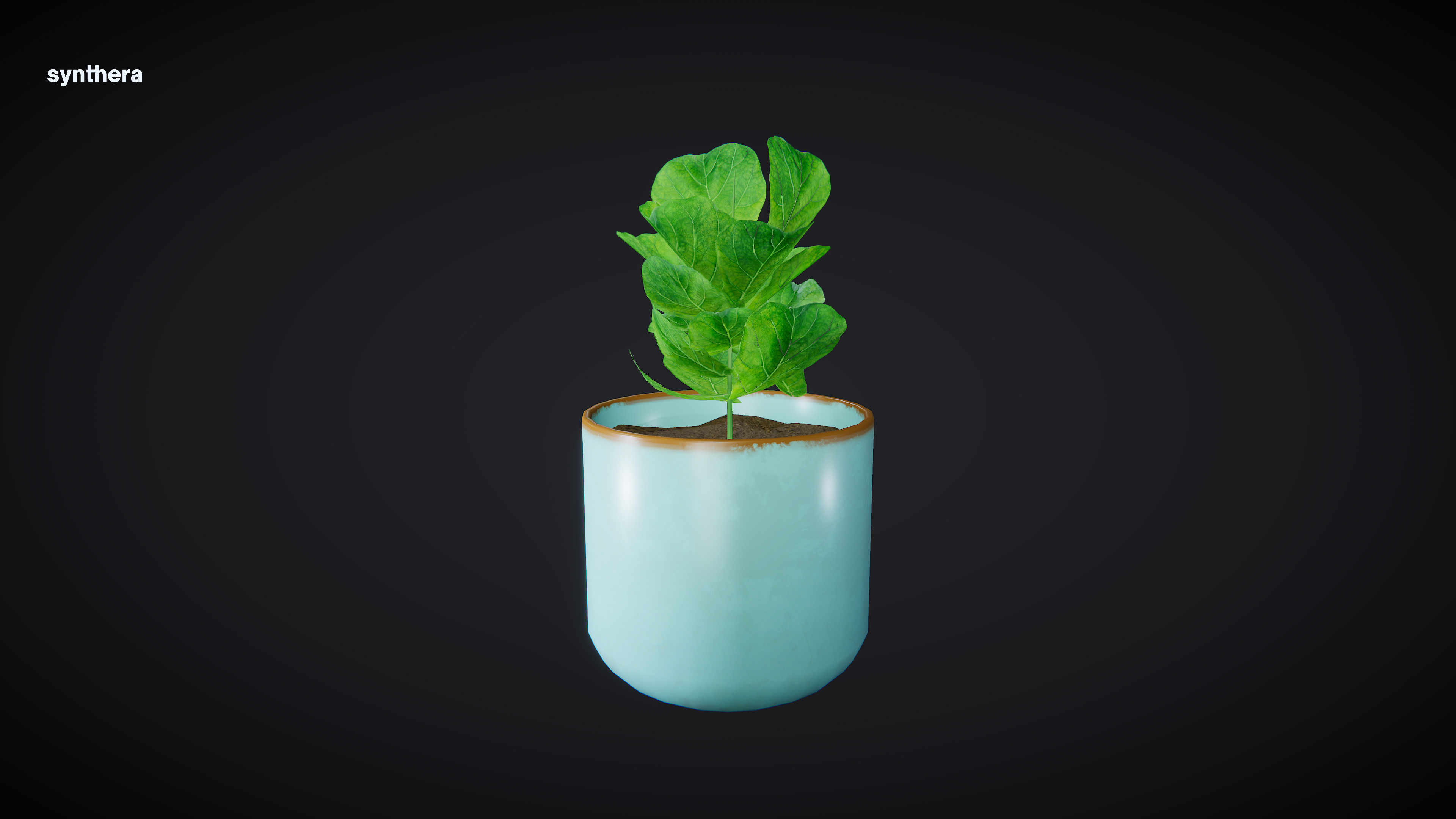 Plant Ficus 3D model_4