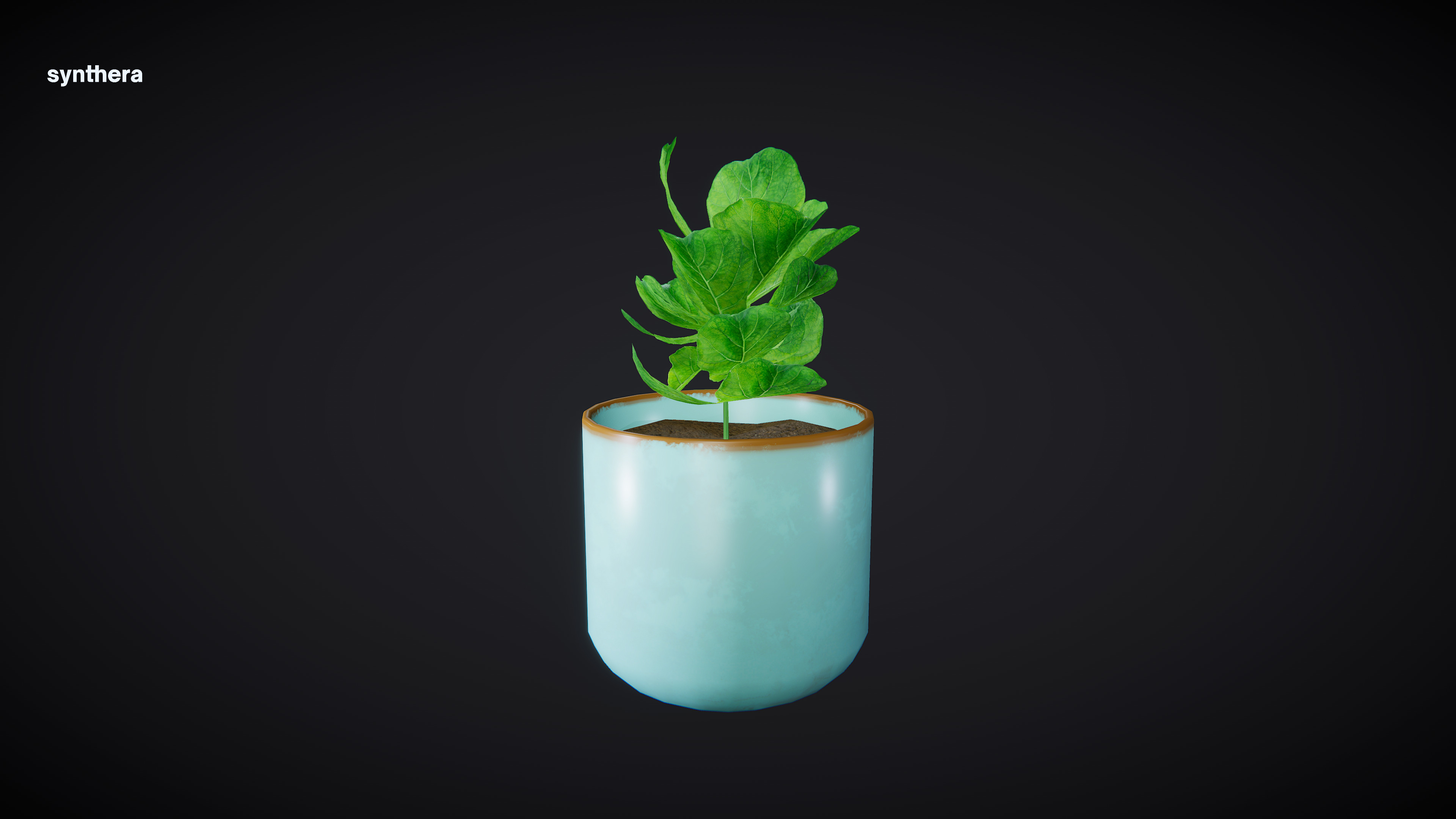 Plant Ficus 3D model_5
