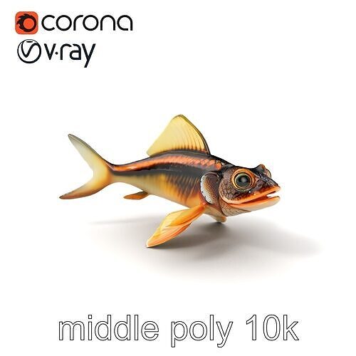 Dragonfish Stomias Boa Realistic 3D Model Pack Low-poly 3D model