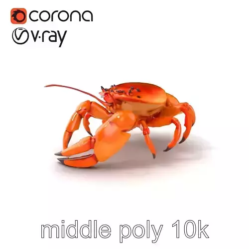 Kamchatka Crab Spiky Carapace Model Pack Low-poly 3D model