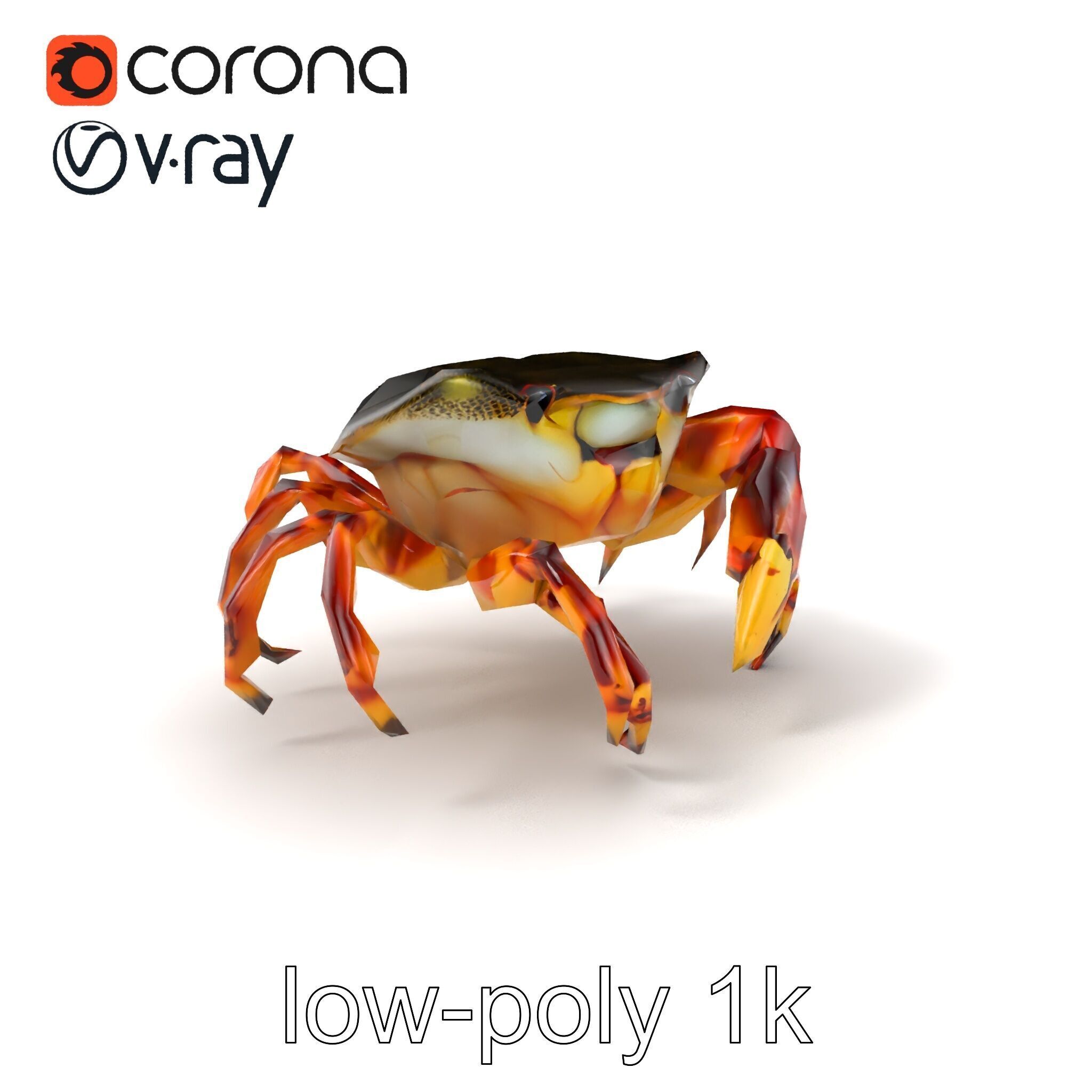 Colorful Fiddler Crab with Asymmetrical Claws model pack Low-poly 3D model_4