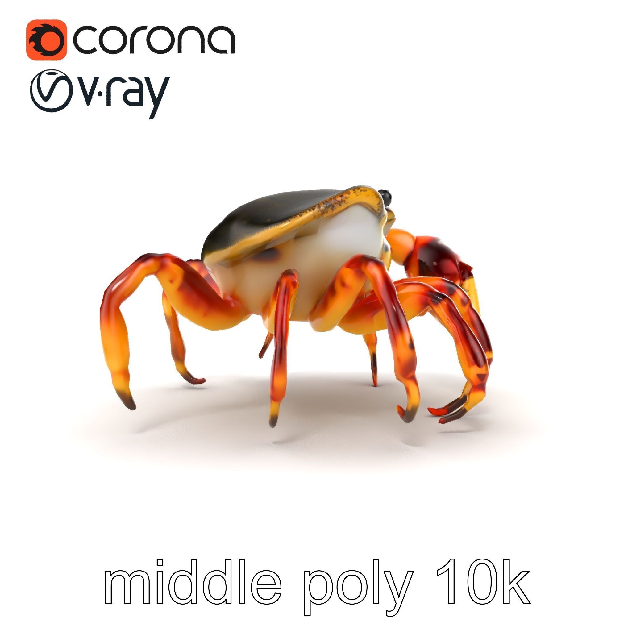 Colorful Fiddler Crab with Asymmetrical Claws model pack Low-poly 3D model_14