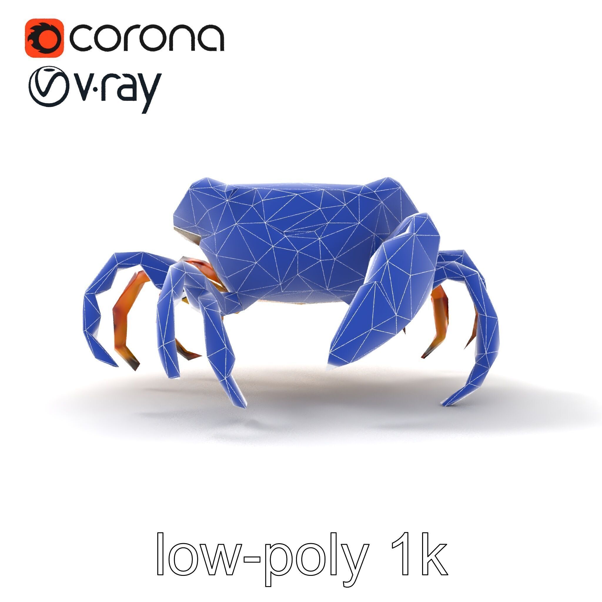 Colorful Fiddler Crab with Asymmetrical Claws model pack Low-poly 3D model_21