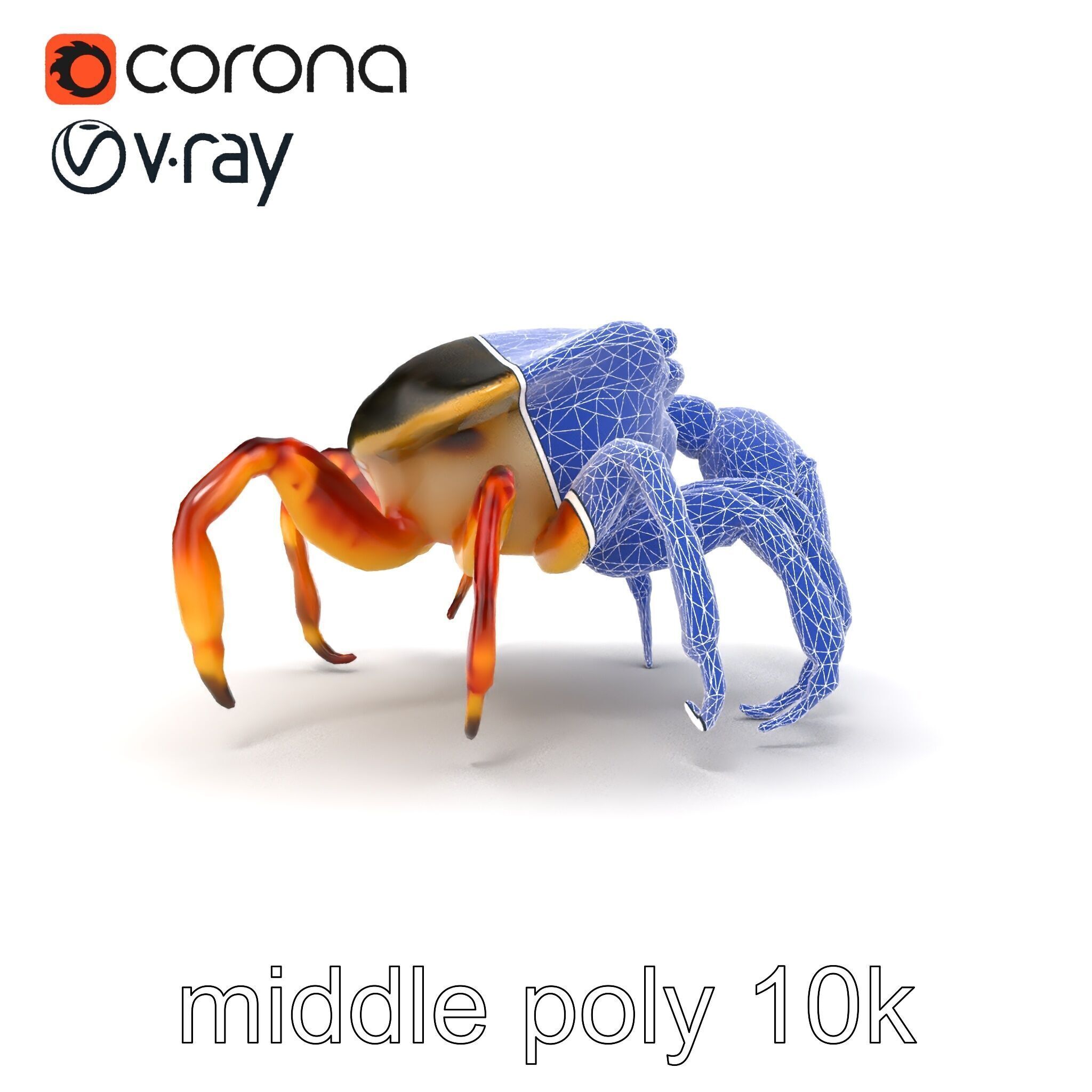 Colorful Fiddler Crab with Asymmetrical Claws model pack Low-poly 3D model_20