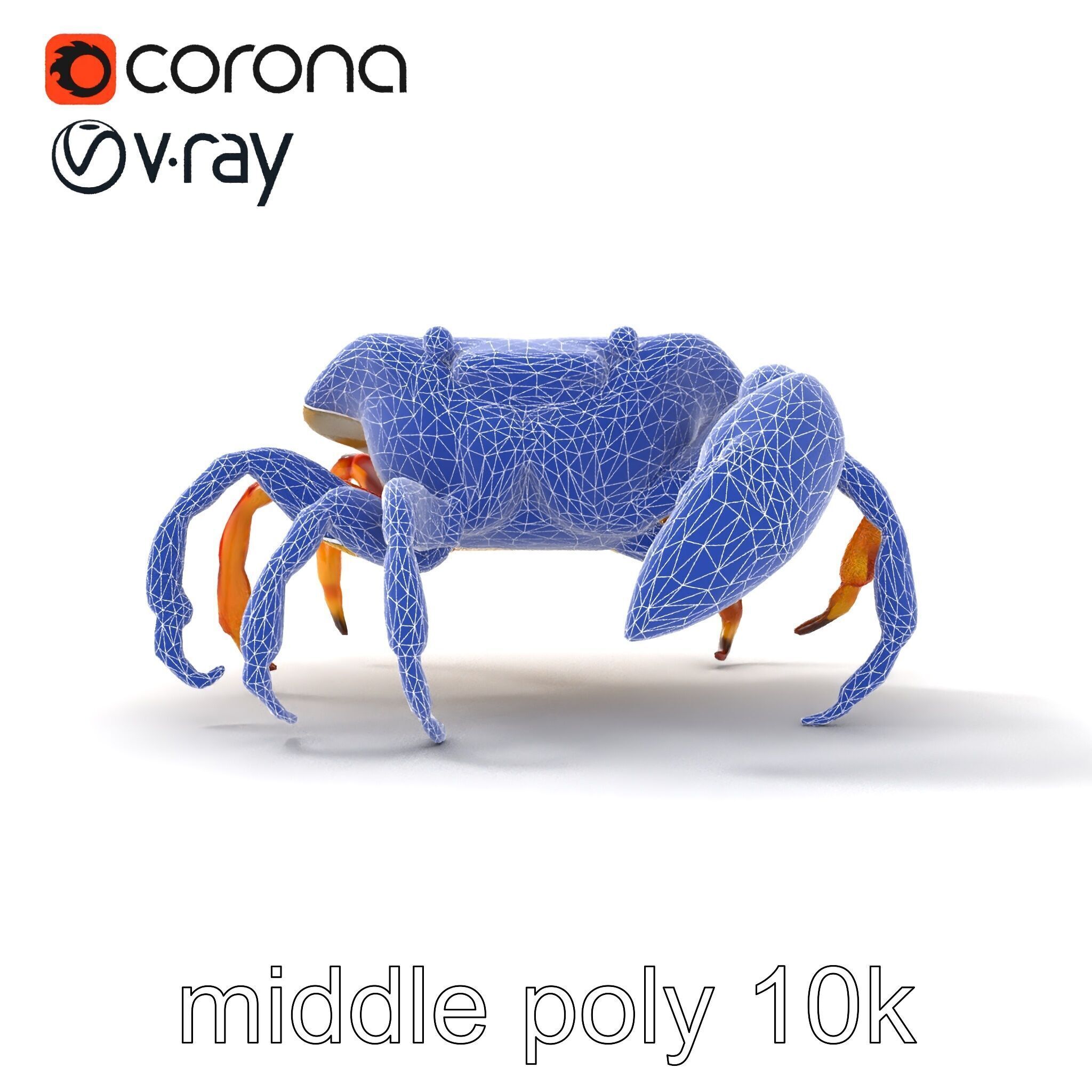 Colorful Fiddler Crab with Asymmetrical Claws model pack Low-poly 3D model_29