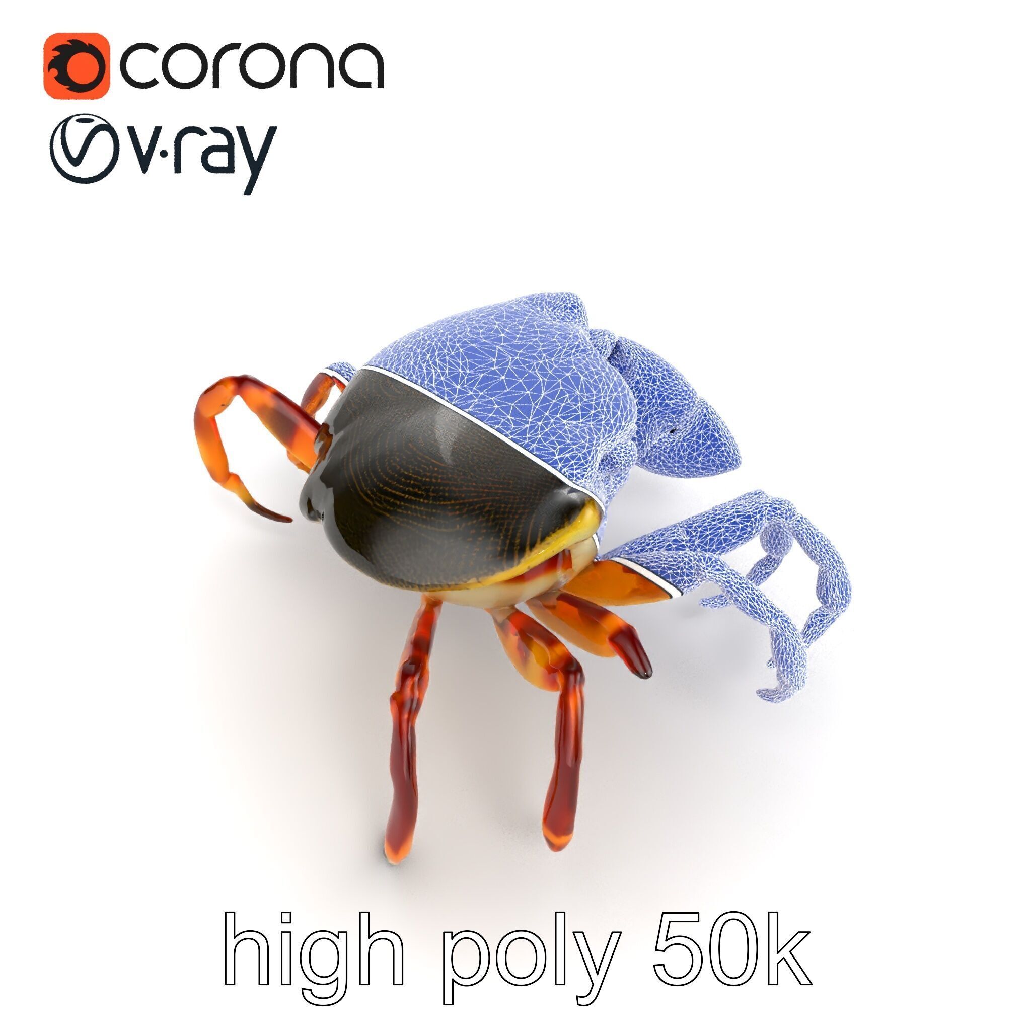 Colorful Fiddler Crab with Asymmetrical Claws model pack Low-poly 3D model_17