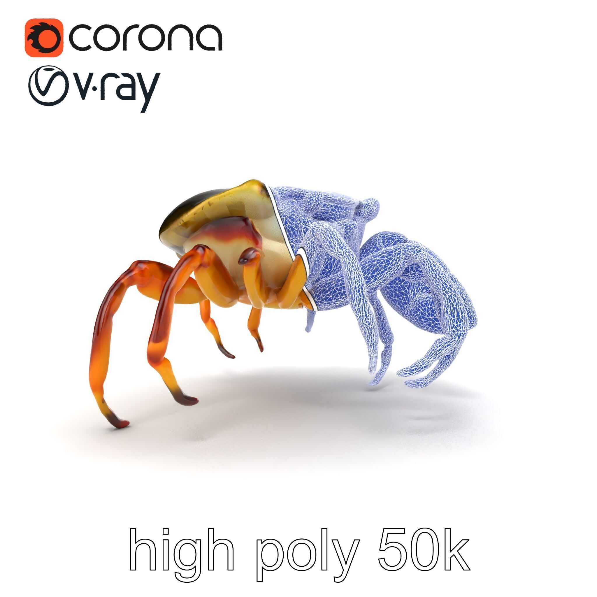 Colorful Fiddler Crab with Asymmetrical Claws model pack Low-poly 3D model_26