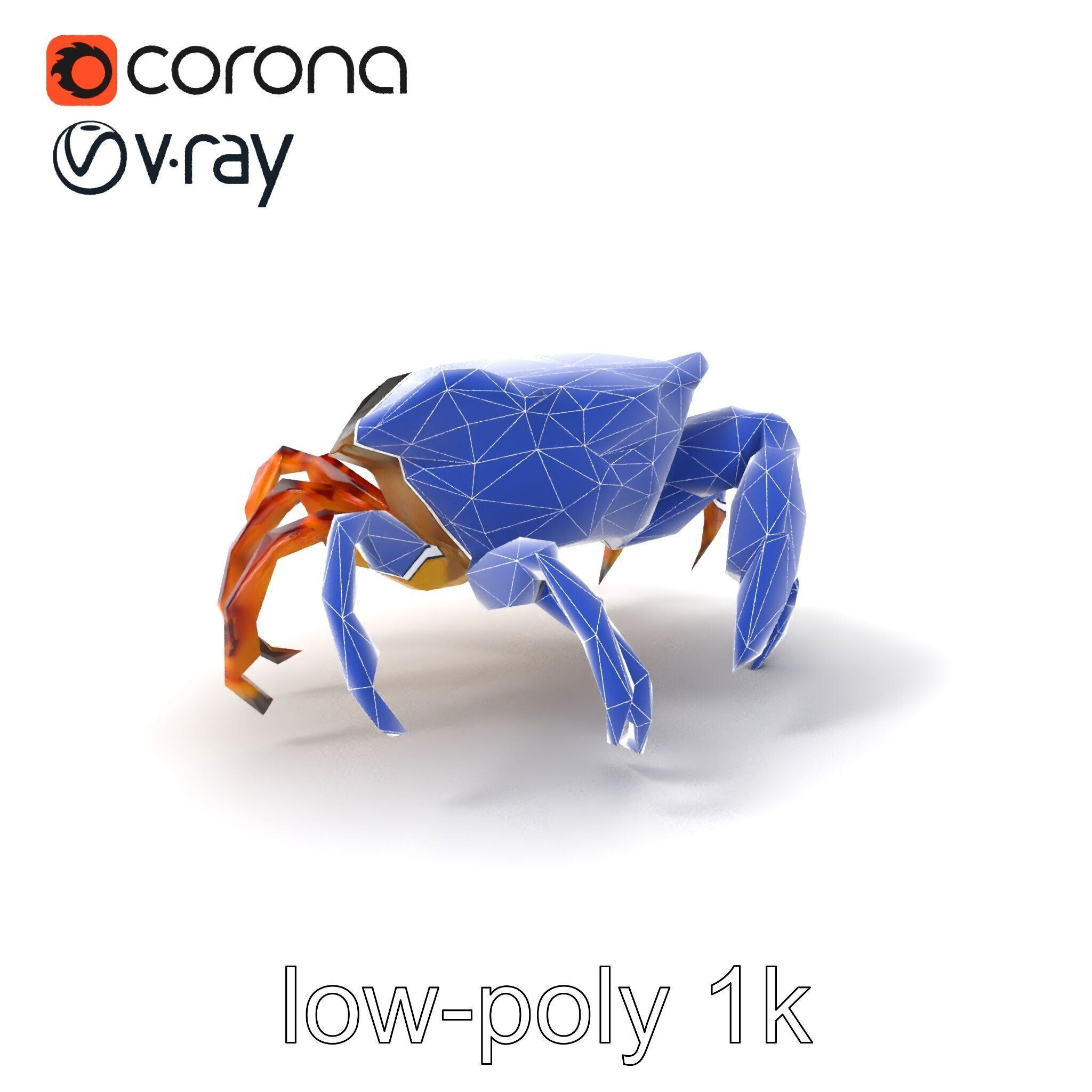 Colorful Fiddler Crab with Asymmetrical Claws model pack Low-poly 3D model_6