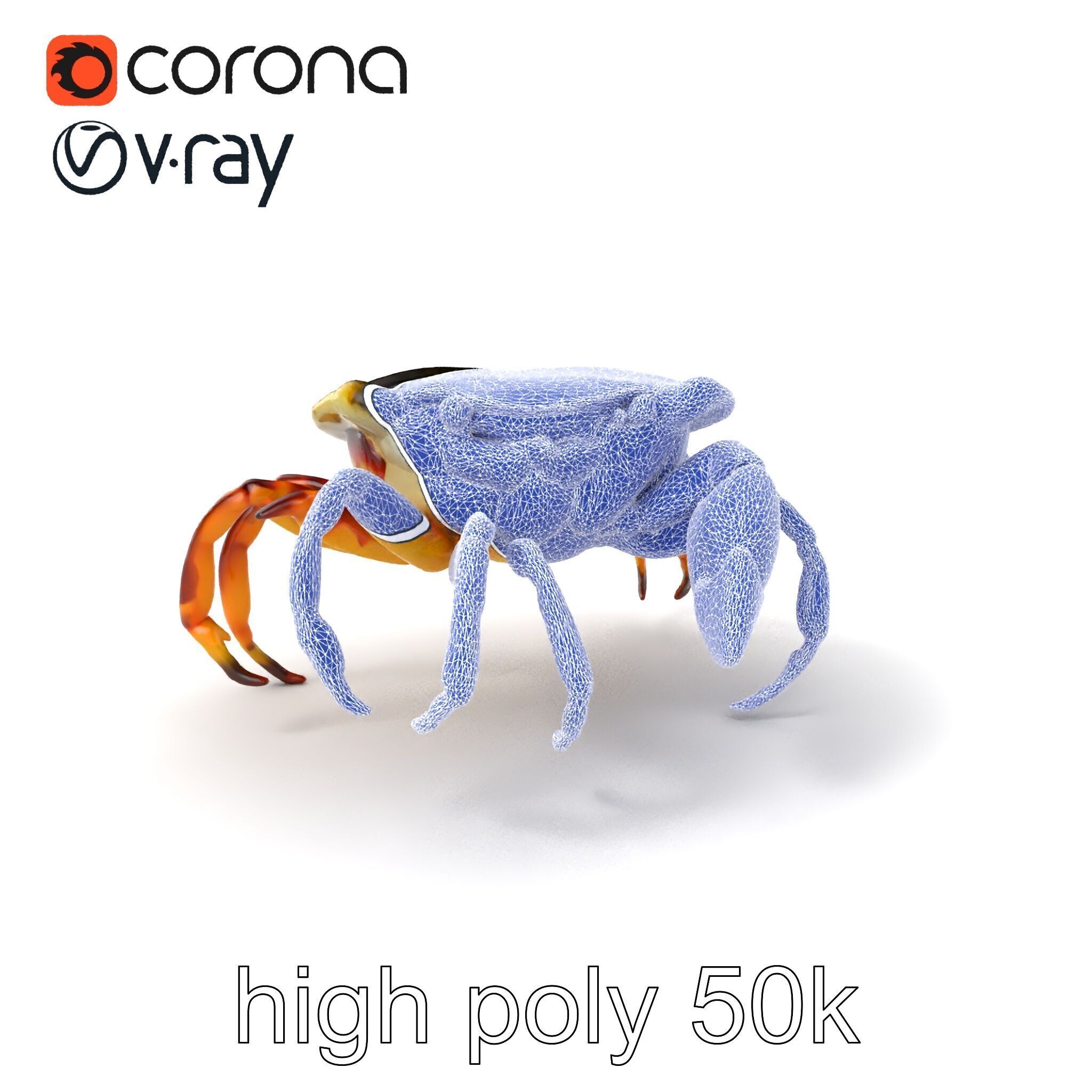 Colorful Fiddler Crab with Asymmetrical Claws model pack Low-poly 3D model_1