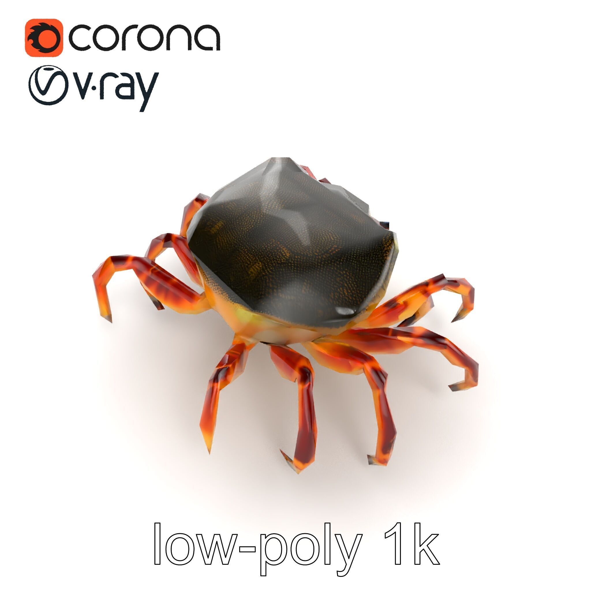 Colorful Fiddler Crab with Asymmetrical Claws model pack Low-poly 3D model_13