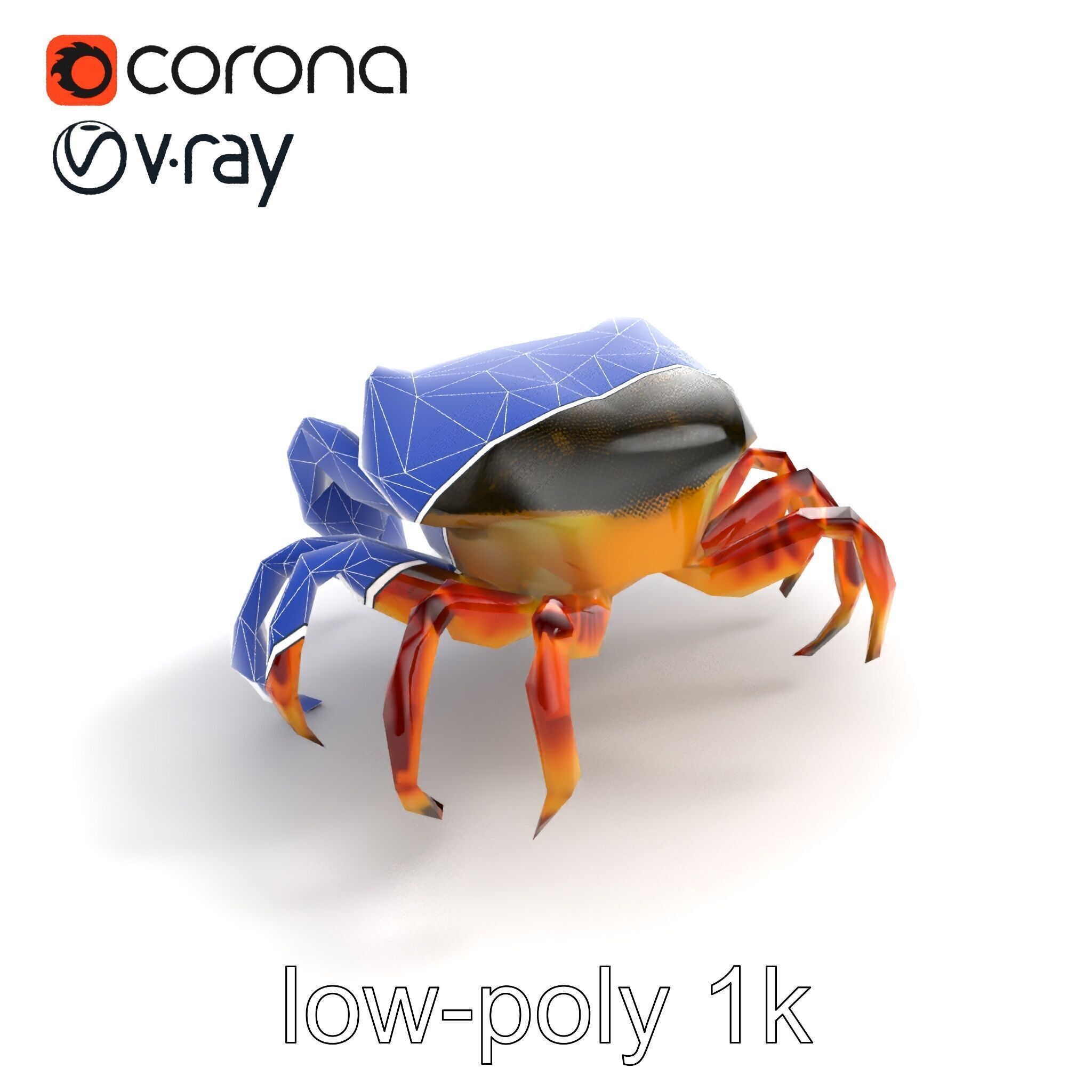 Colorful Fiddler Crab with Asymmetrical Claws model pack Low-poly 3D model_15