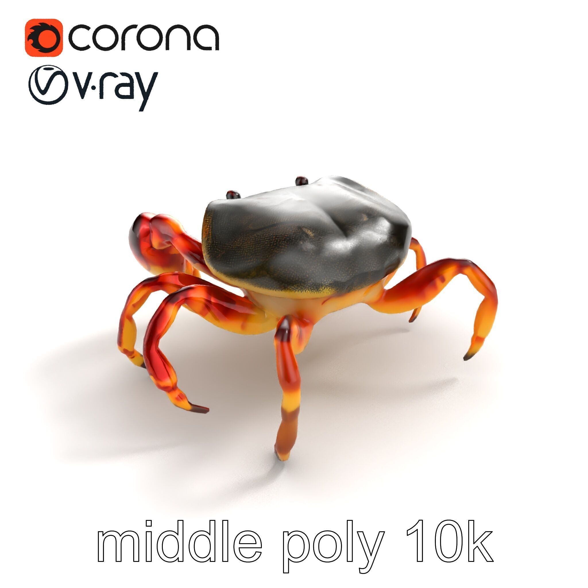 Colorful Fiddler Crab with Asymmetrical Claws model pack Low-poly 3D model_7