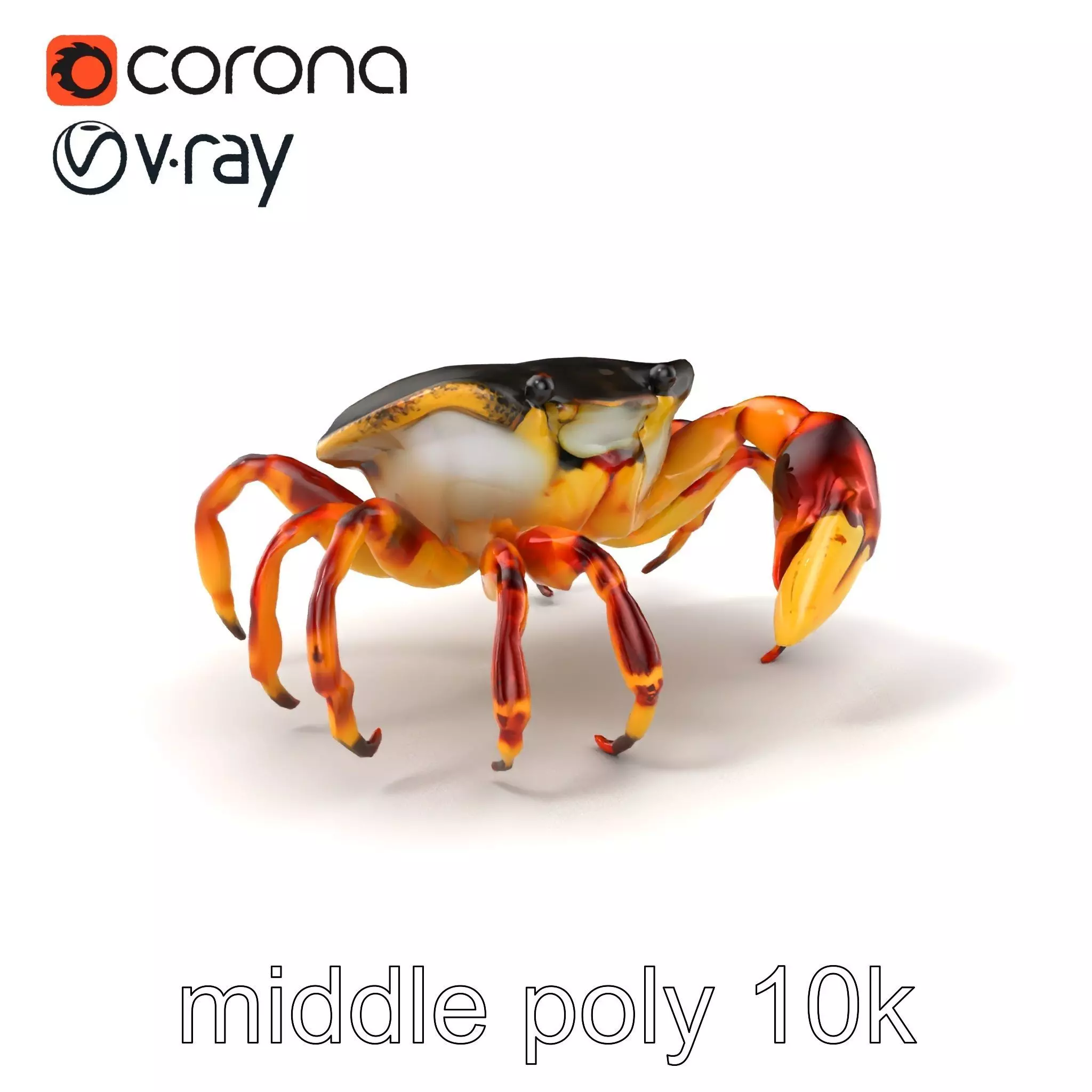 Colorful Fiddler Crab with Asymmetrical Claws model pack Low-poly 3D model_0