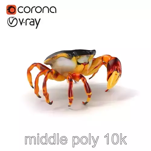 Colorful Fiddler Crab with Asymmetrical Claws model pack Low-poly 3D model