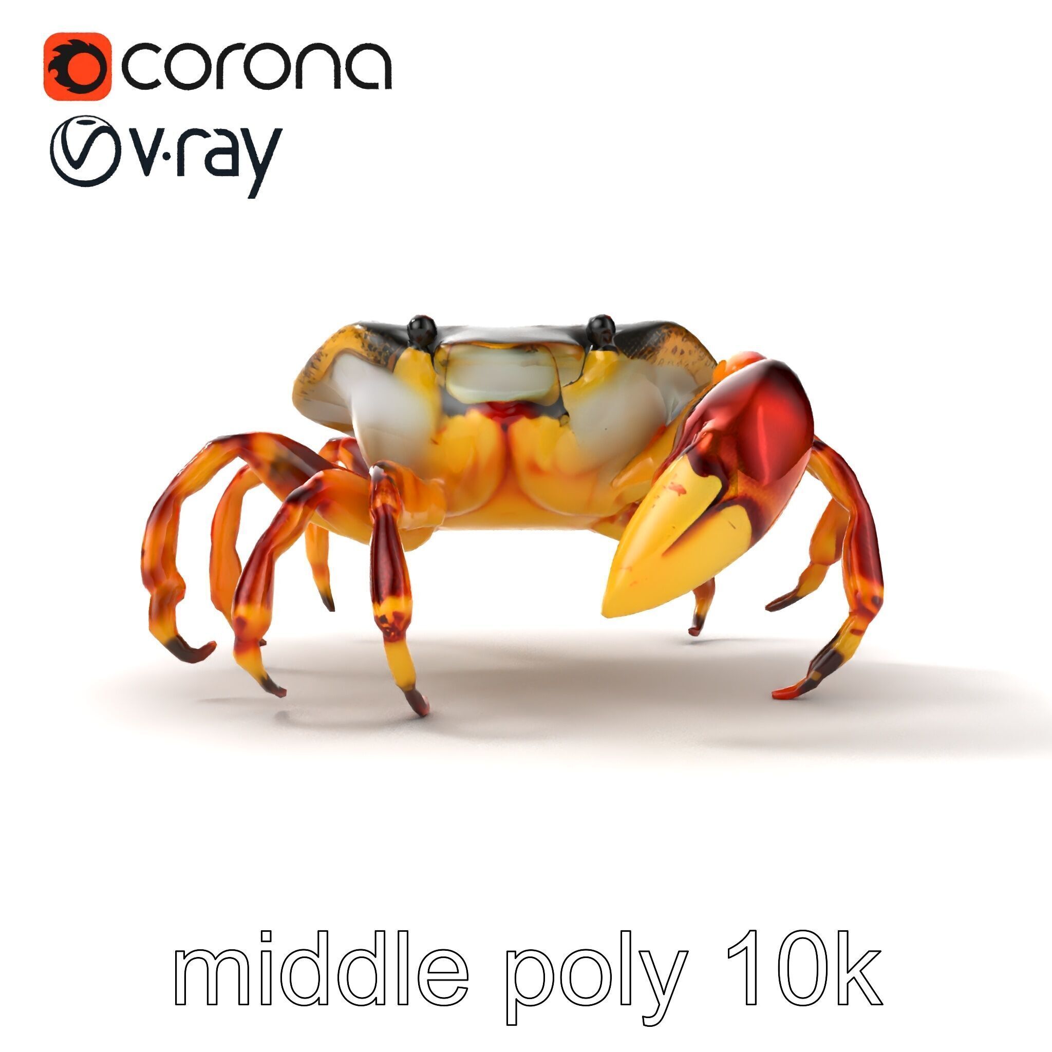 Colorful Fiddler Crab with Asymmetrical Claws model pack Low-poly 3D model_24
