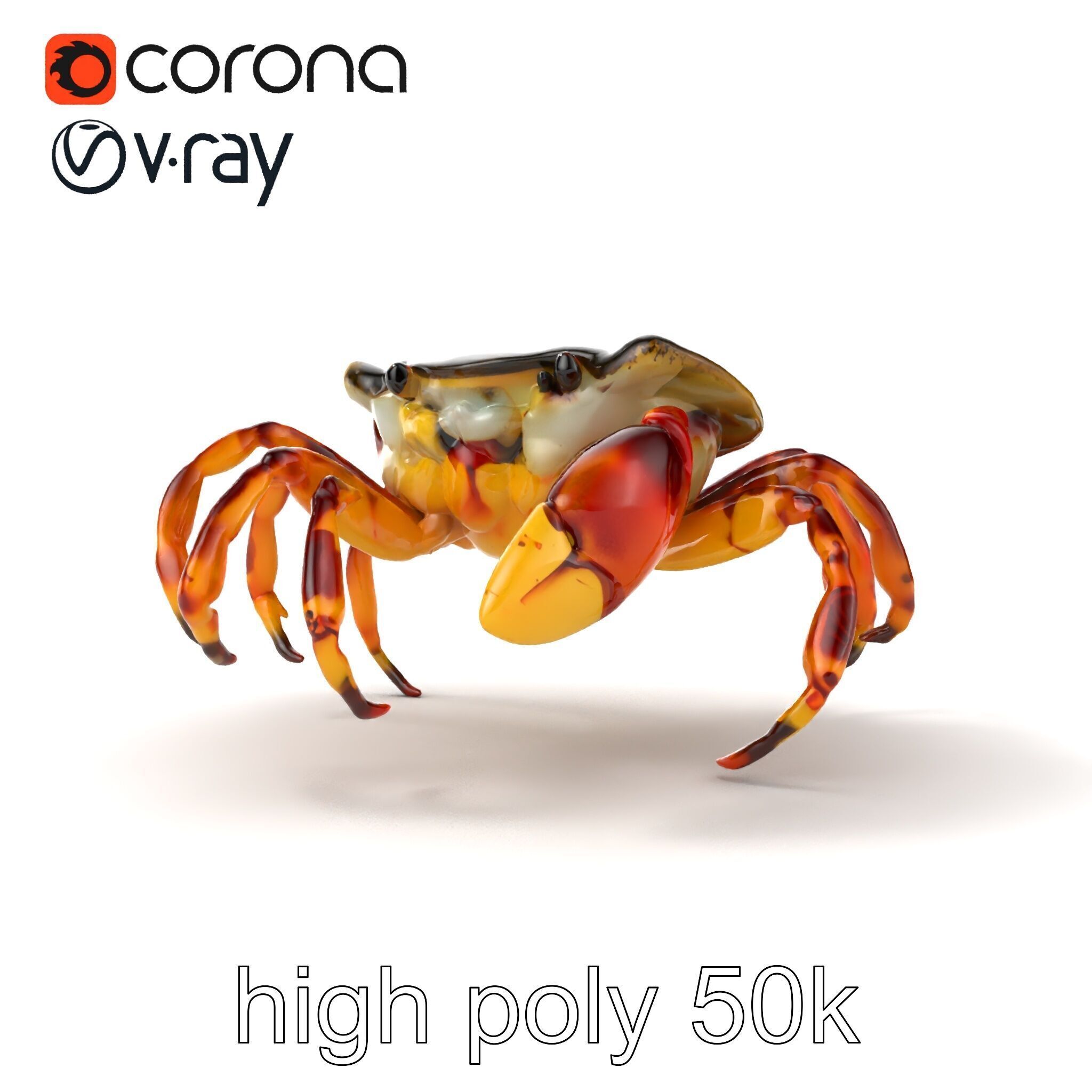 Colorful Fiddler Crab with Asymmetrical Claws model pack Low-poly 3D model_16