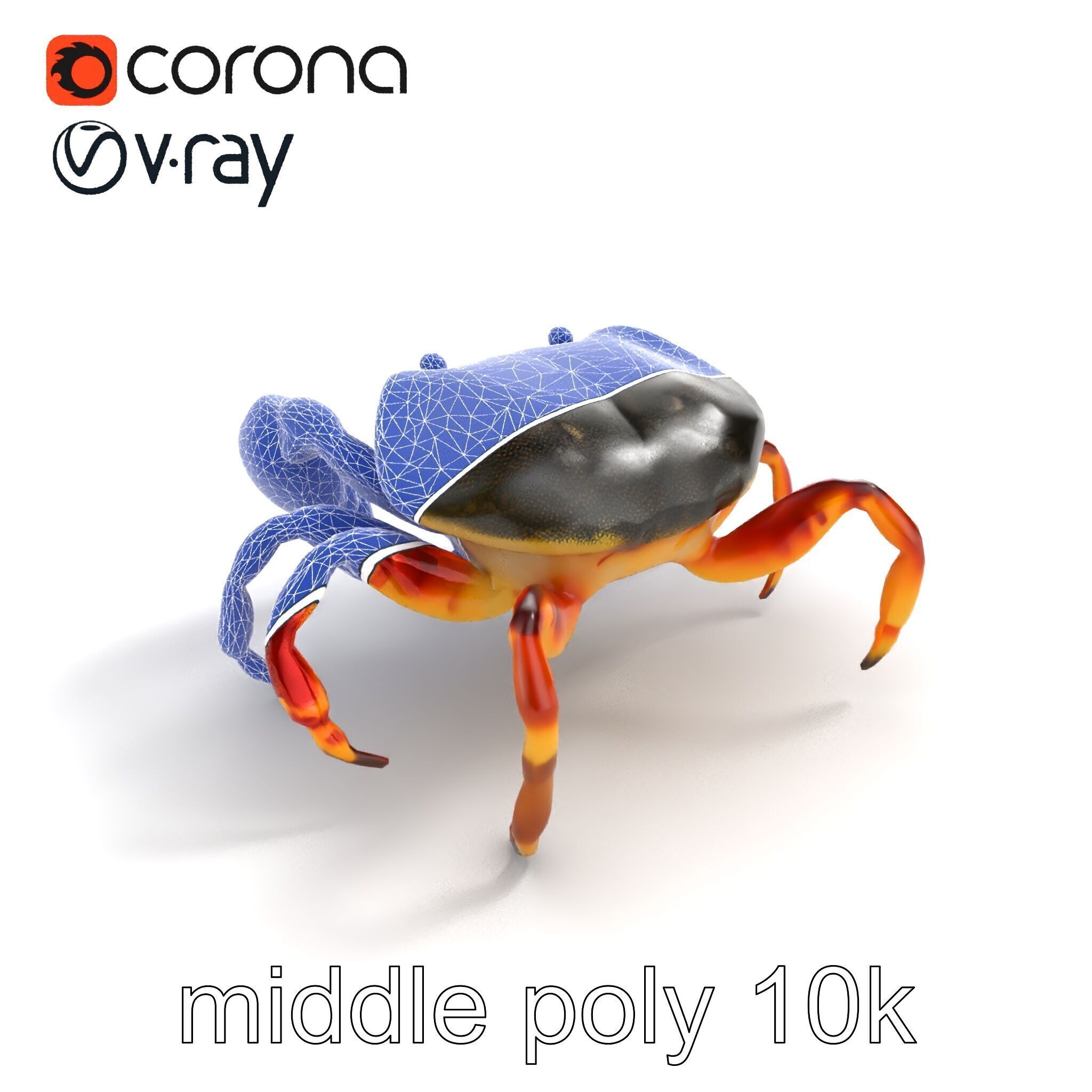 Colorful Fiddler Crab with Asymmetrical Claws model pack Low-poly 3D model_18