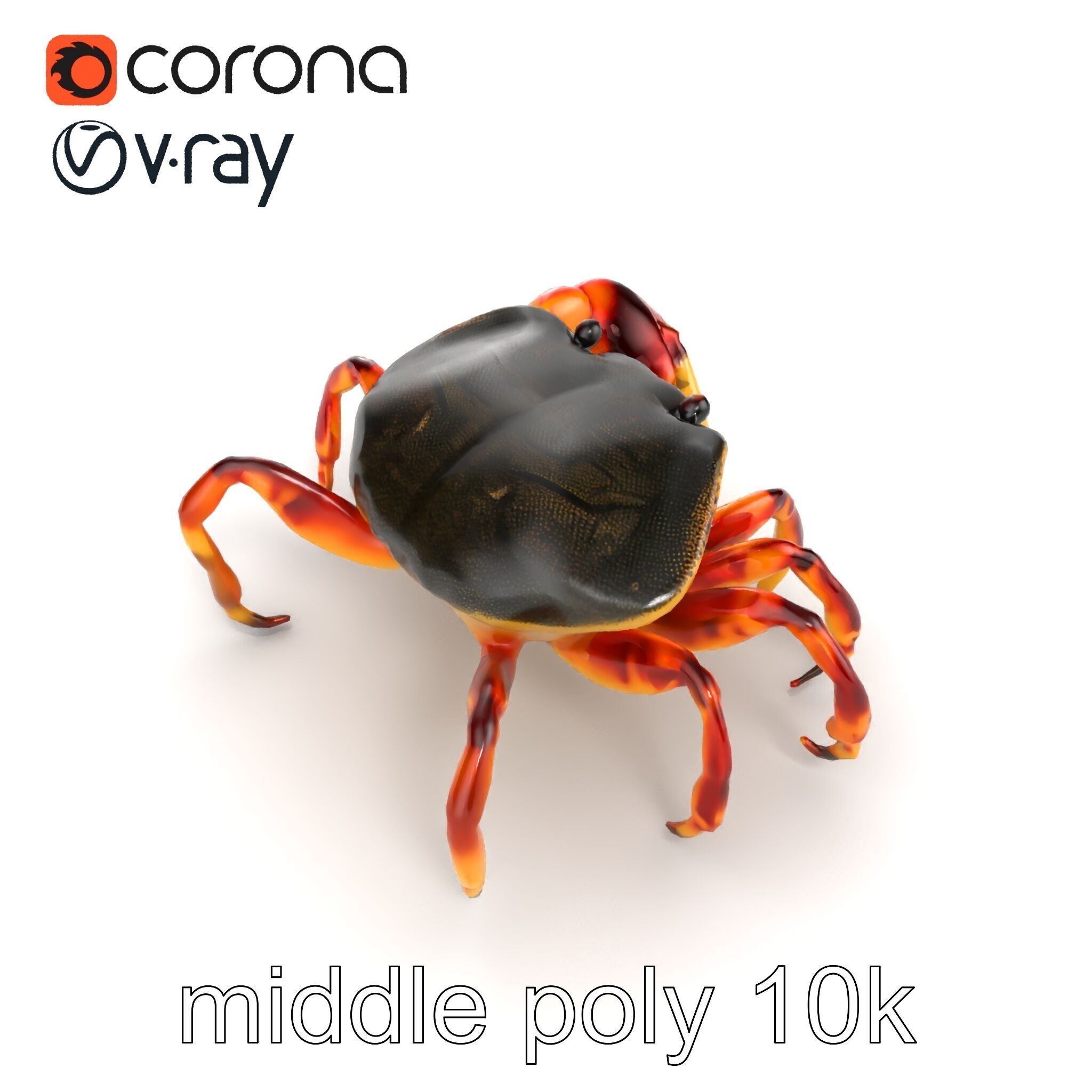 Colorful Fiddler Crab with Asymmetrical Claws model pack Low-poly 3D model_12