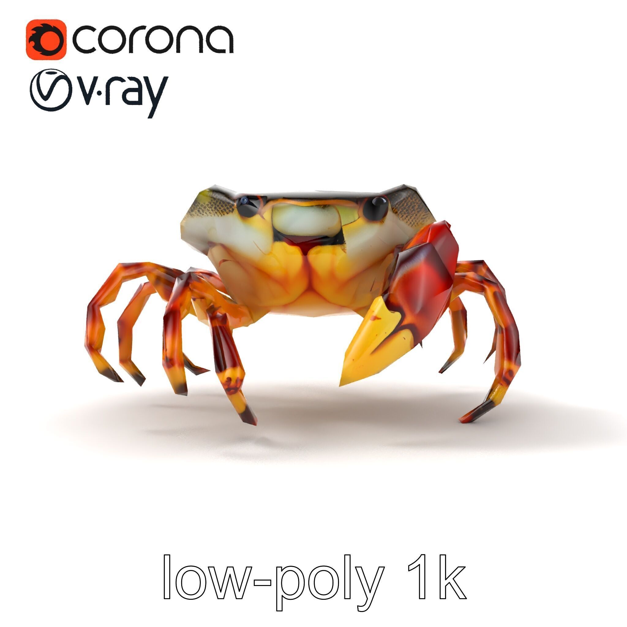 Colorful Fiddler Crab with Asymmetrical Claws model pack Low-poly 3D model_19