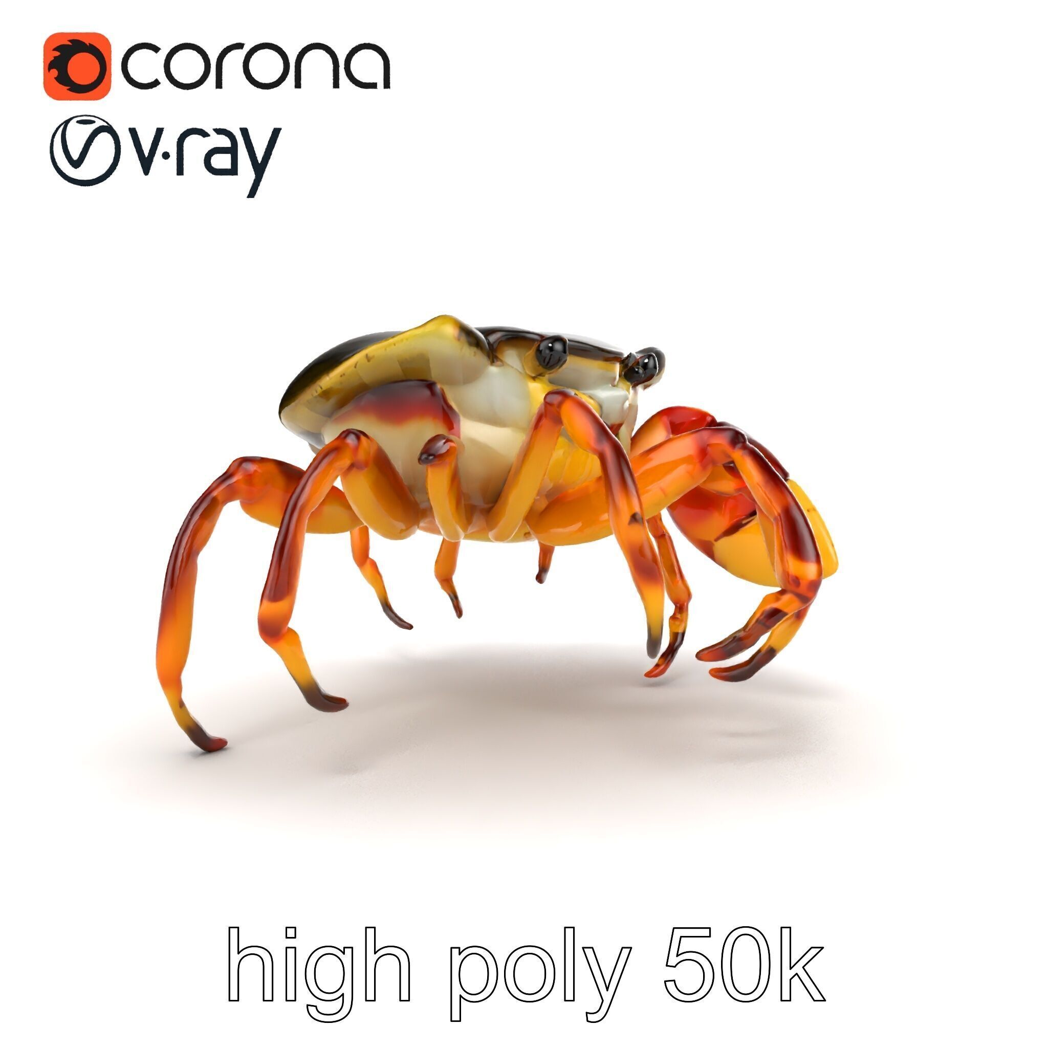 Colorful Fiddler Crab with Asymmetrical Claws model pack Low-poly 3D model_25
