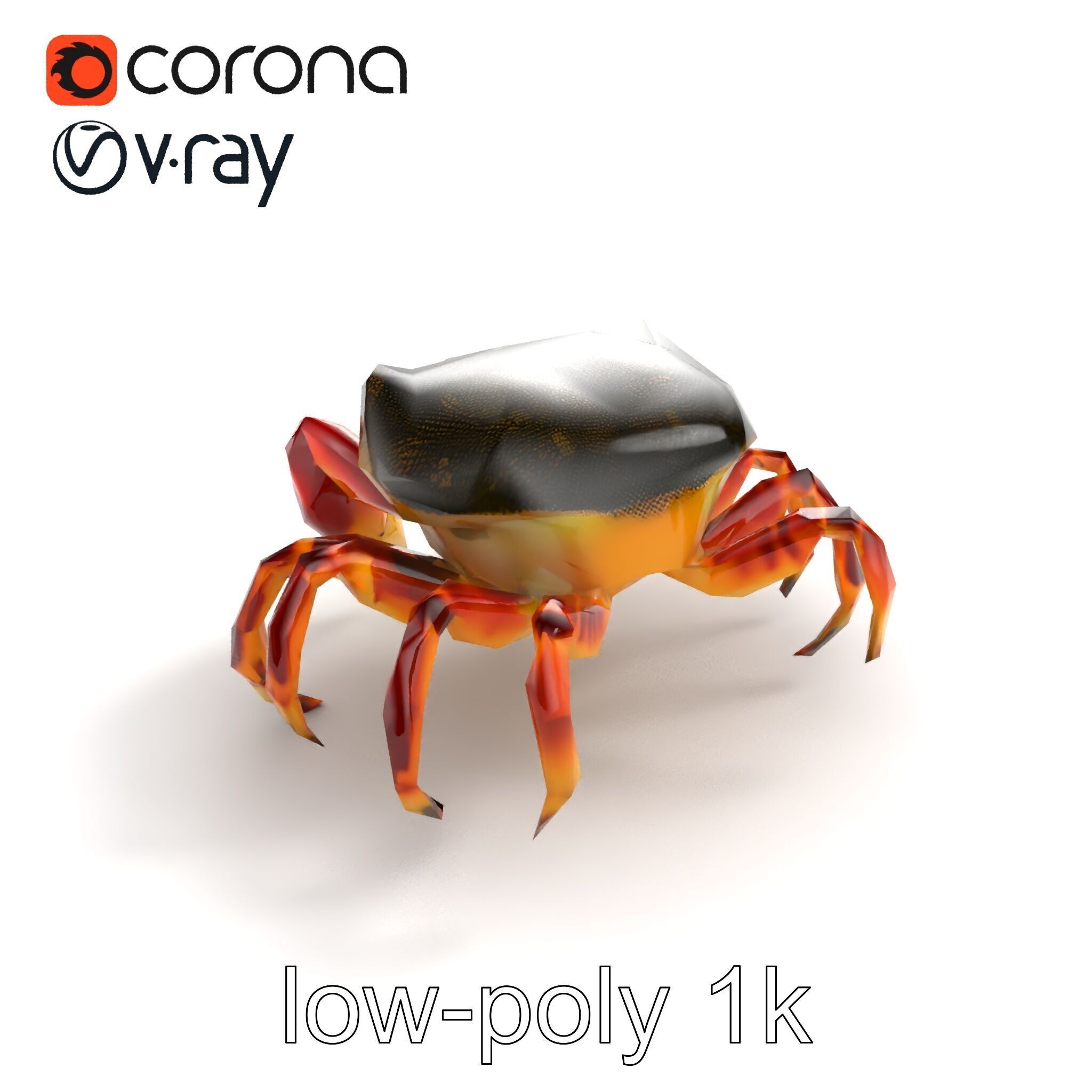 Colorful Fiddler Crab with Asymmetrical Claws model pack Low-poly 3D model_8