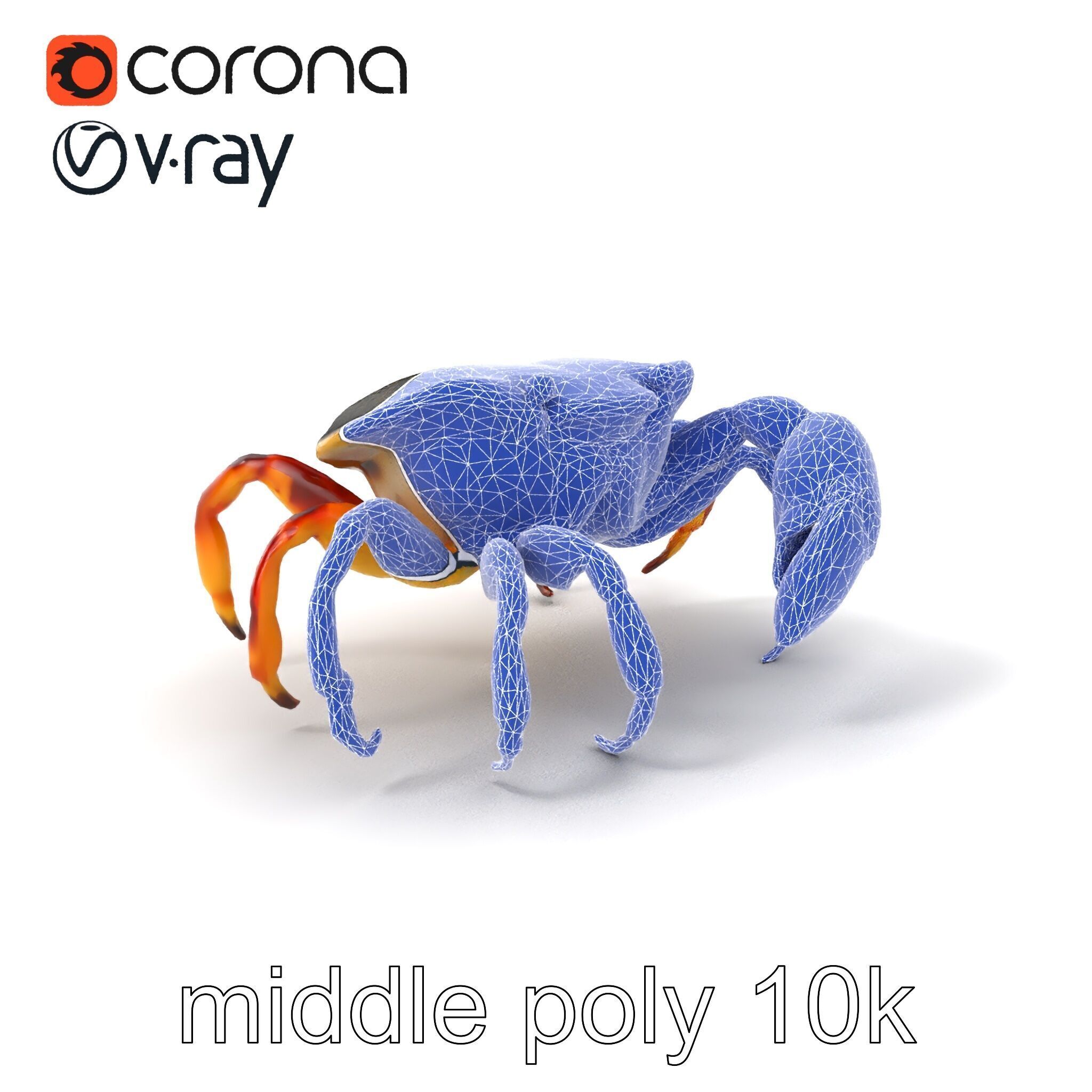 Colorful Fiddler Crab with Asymmetrical Claws model pack Low-poly 3D model_5