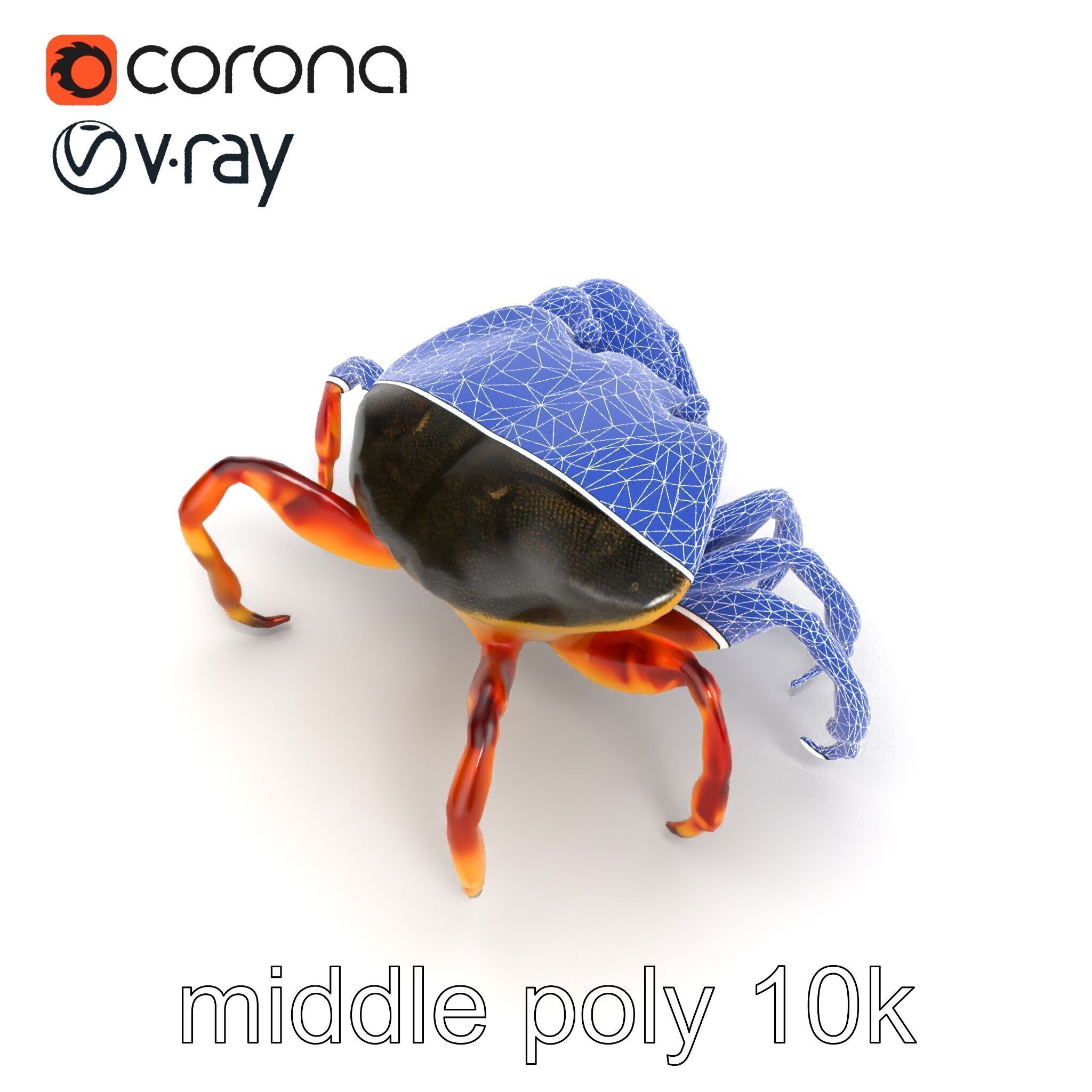 Colorful Fiddler Crab with Asymmetrical Claws model pack Low-poly 3D model_23