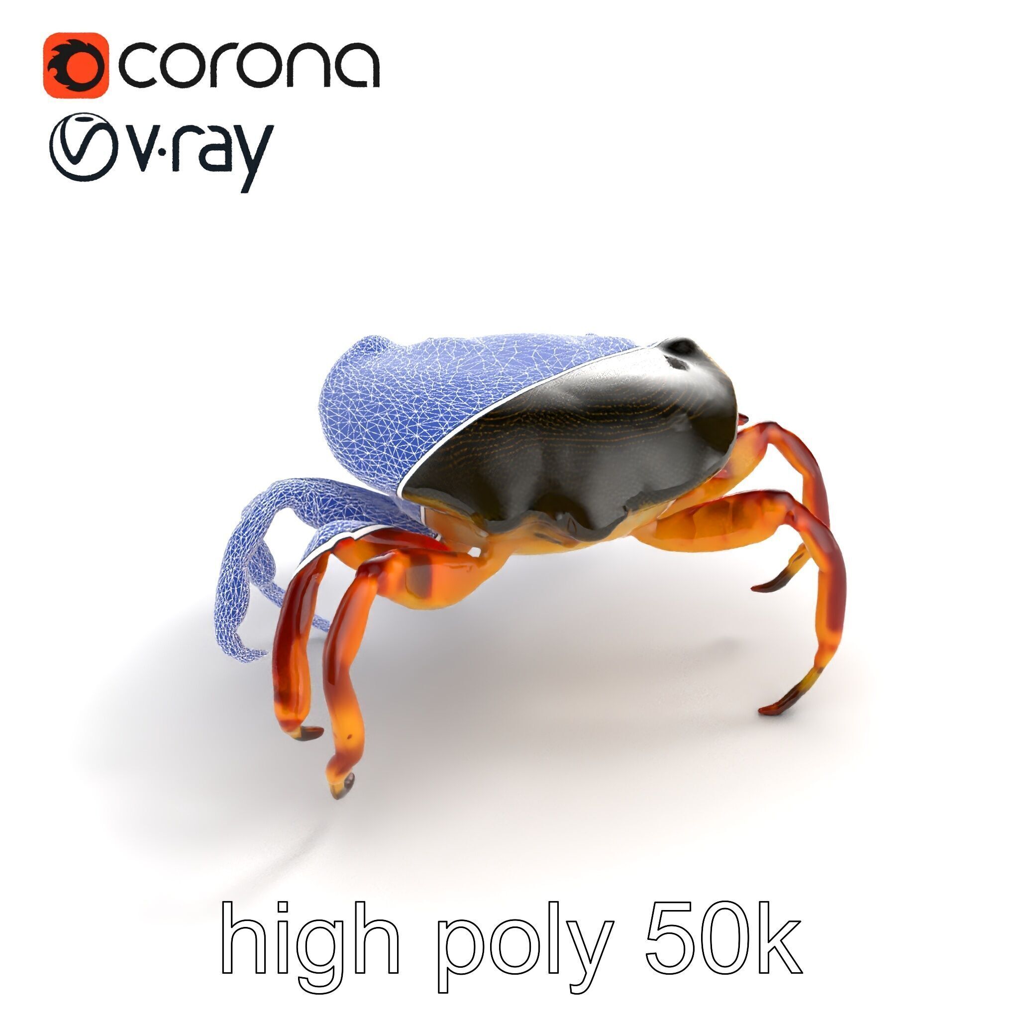 Colorful Fiddler Crab with Asymmetrical Claws model pack Low-poly 3D model_10