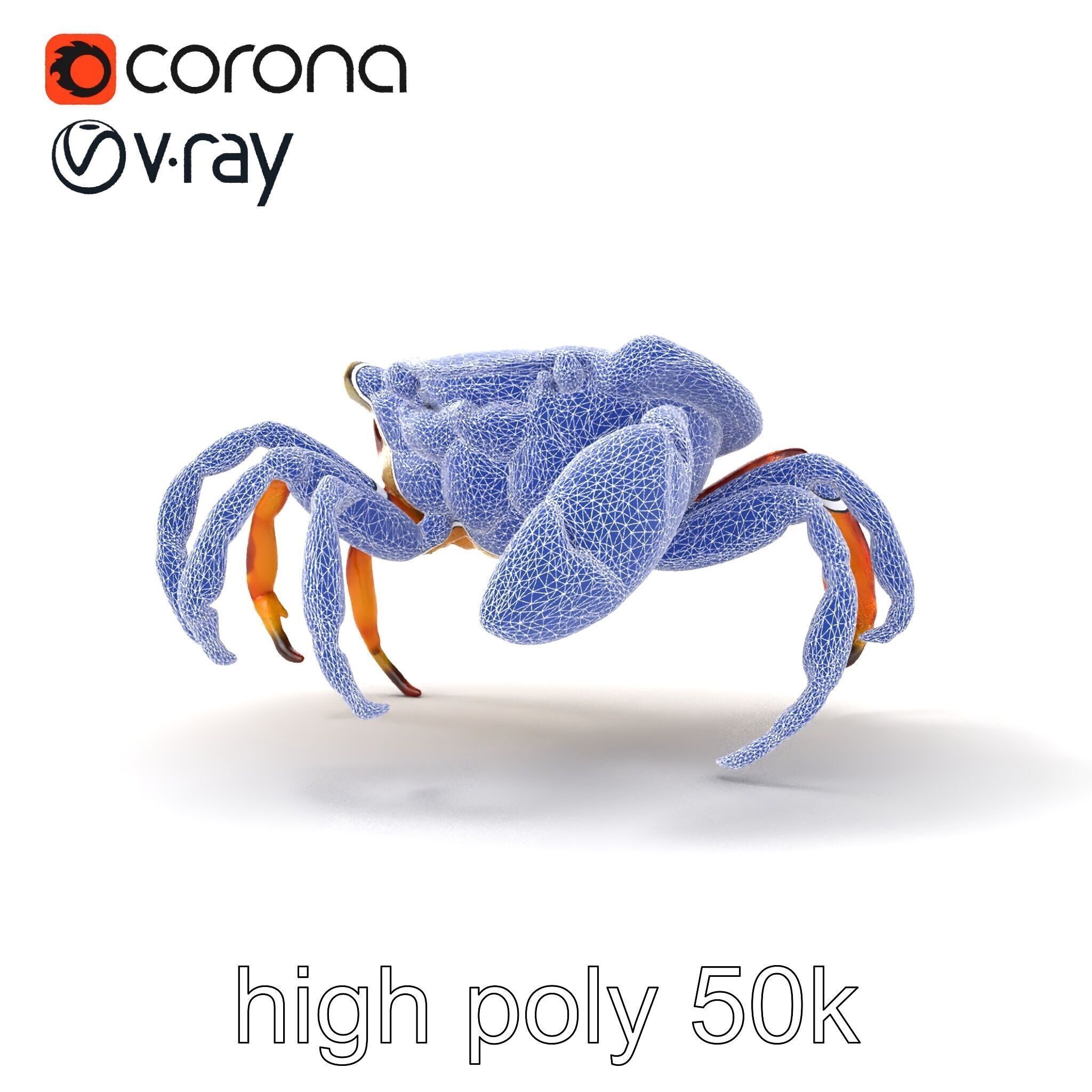Colorful Fiddler Crab with Asymmetrical Claws model pack Low-poly 3D model_30