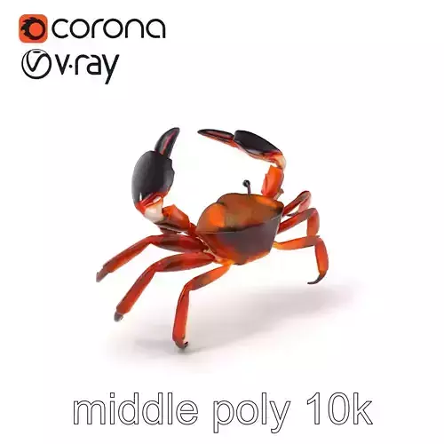 Coconut Crab Tropical Design model pack Low-poly 3D model