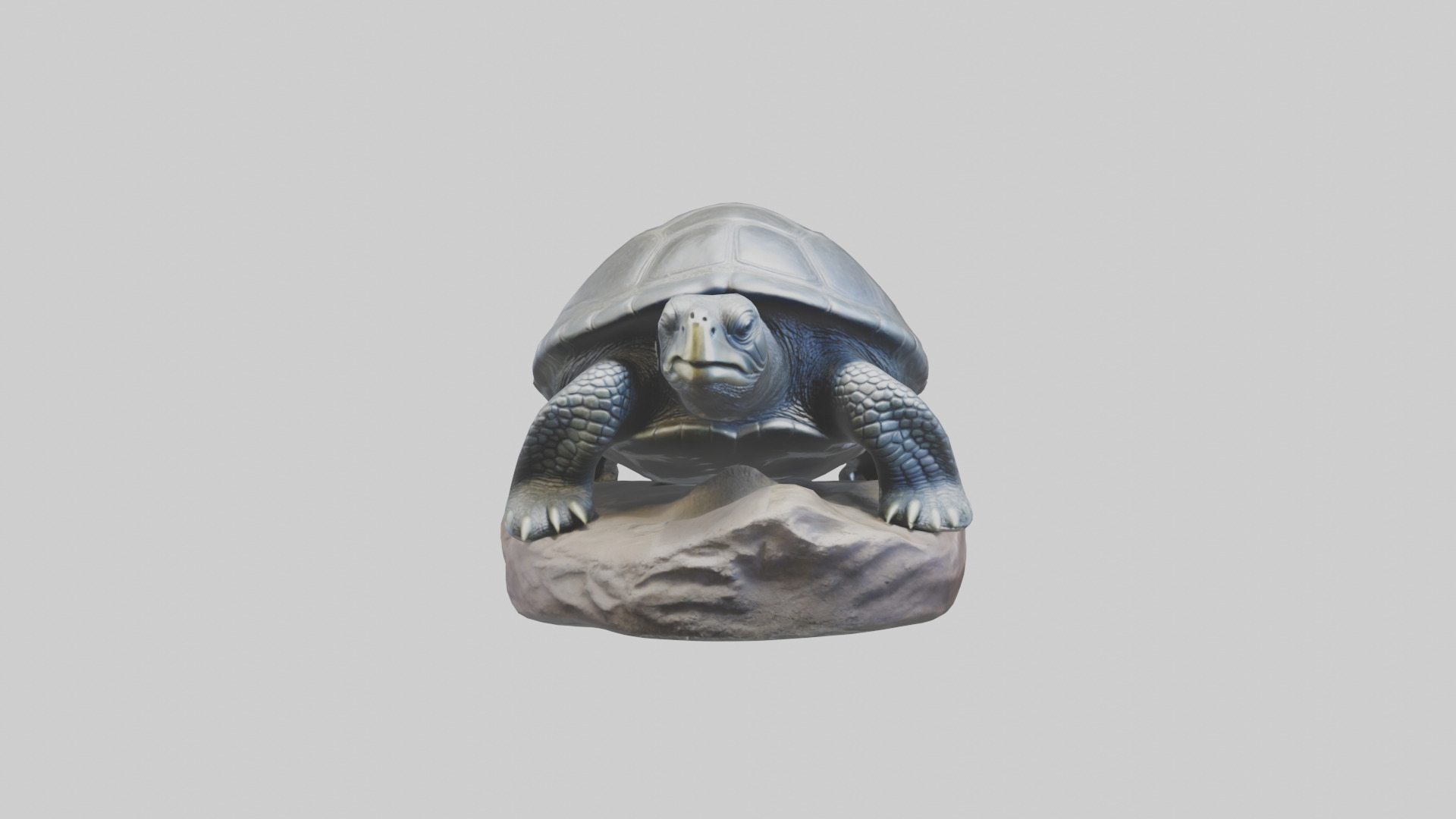 Leatherback Turtle statue model Low-poly 3D model_9