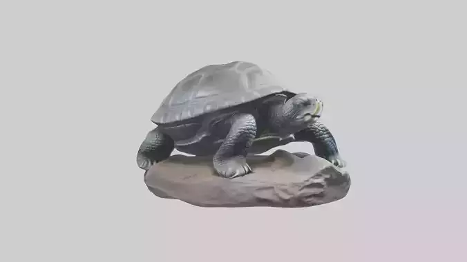 Leatherback Turtle statue model