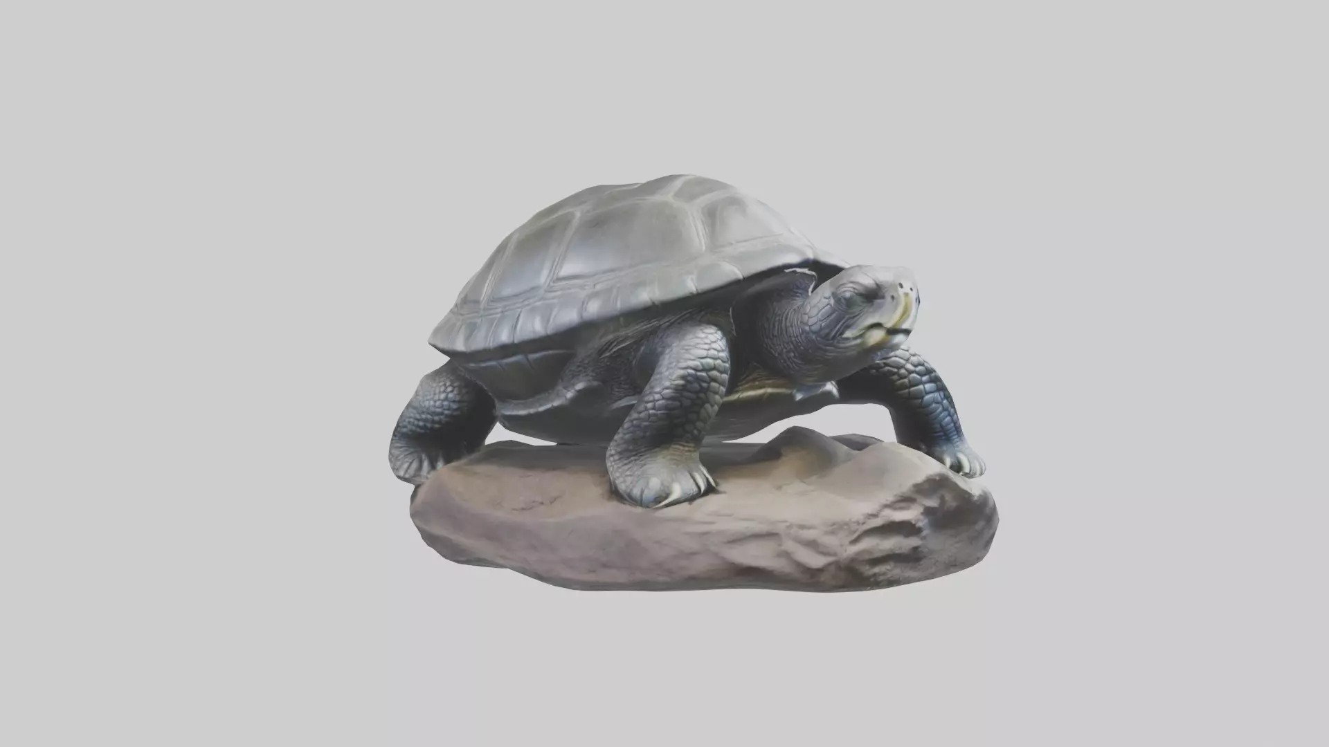 Leatherback Turtle statue model Low-poly 3D model_0