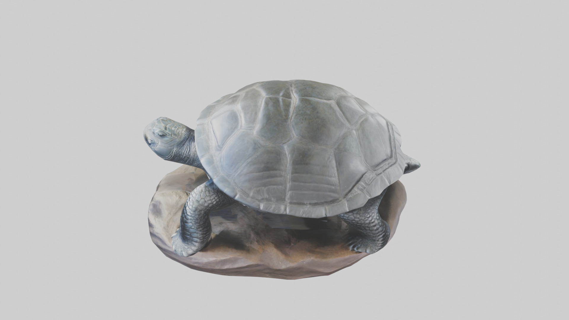 Leatherback Turtle statue model Low-poly 3D model_17