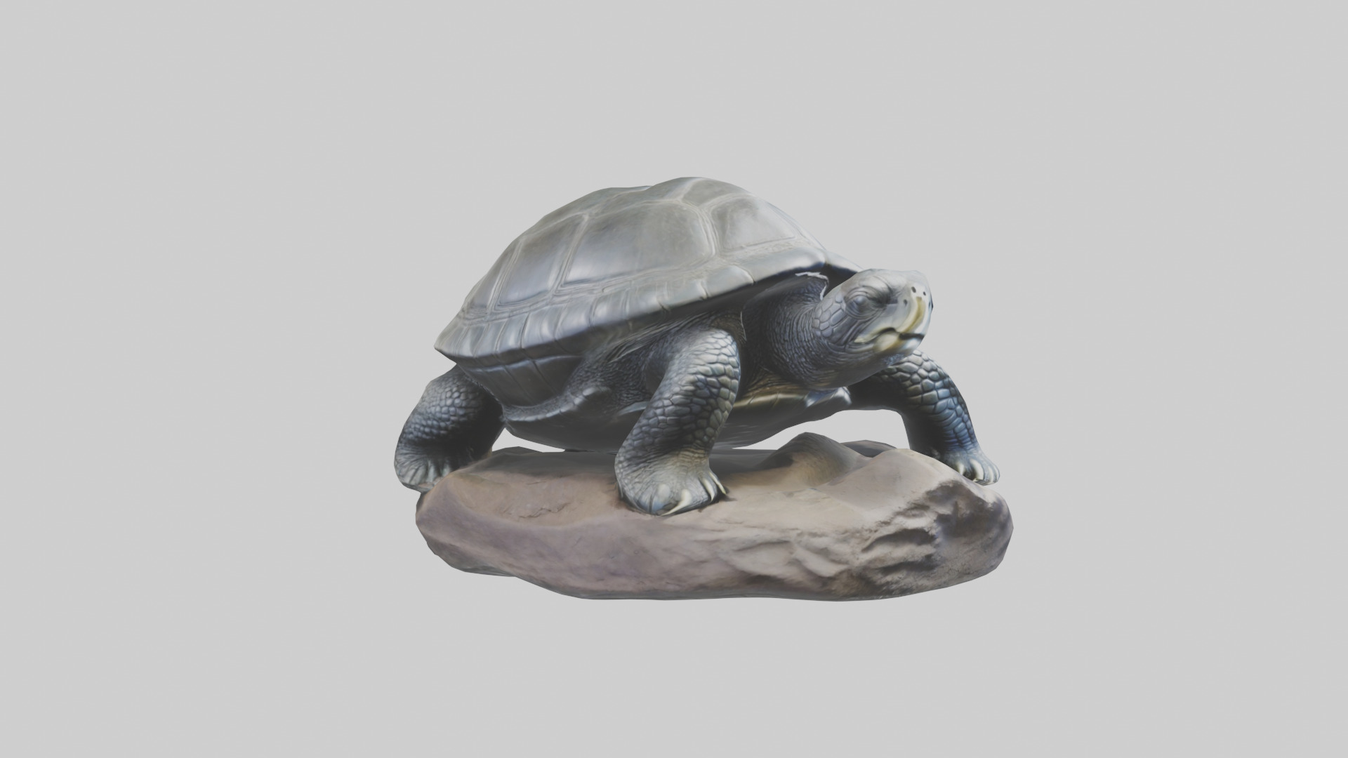 Leatherback Turtle statue model Low-poly 3D model_11