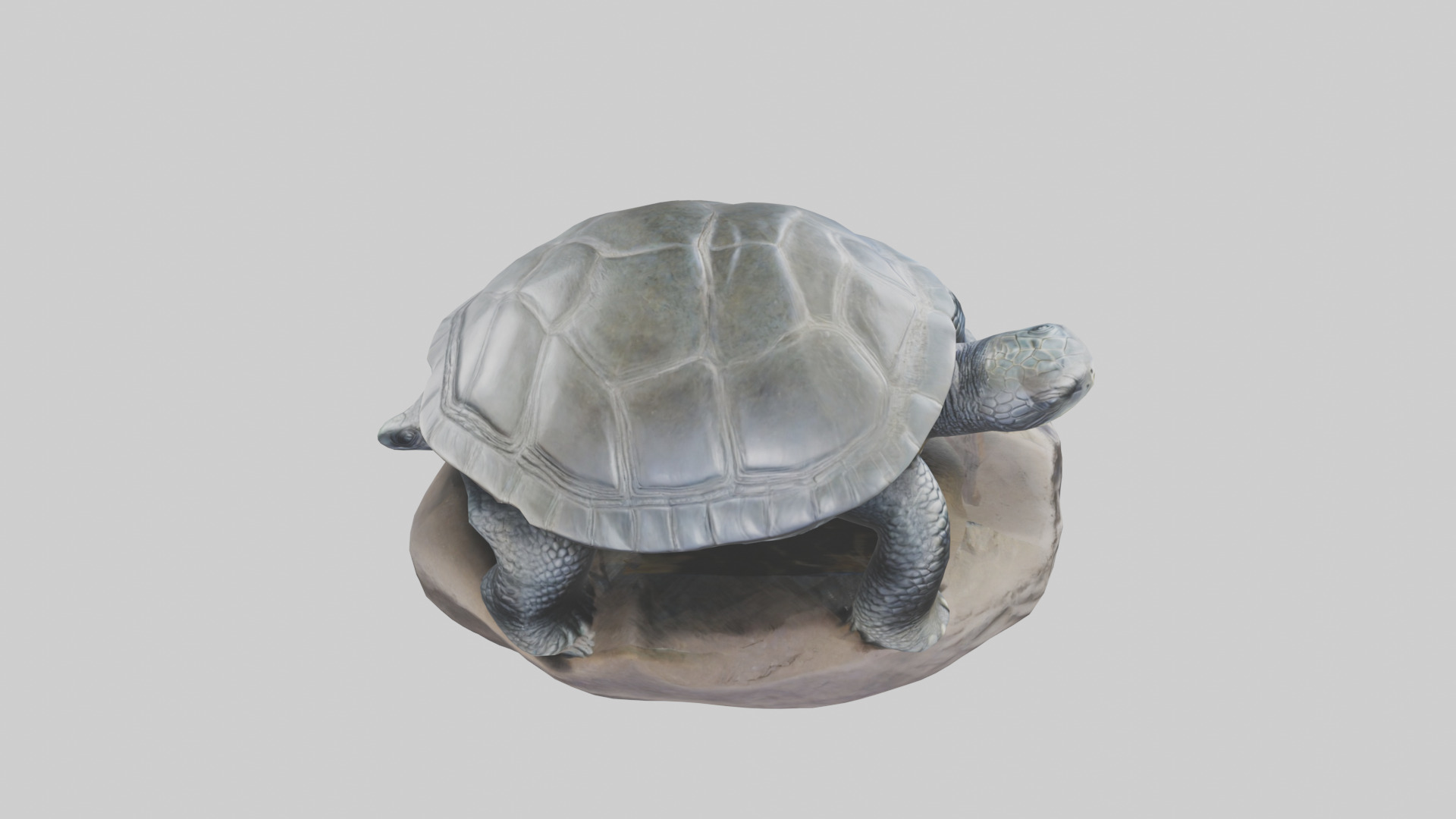 Leatherback Turtle statue model Low-poly 3D model_18